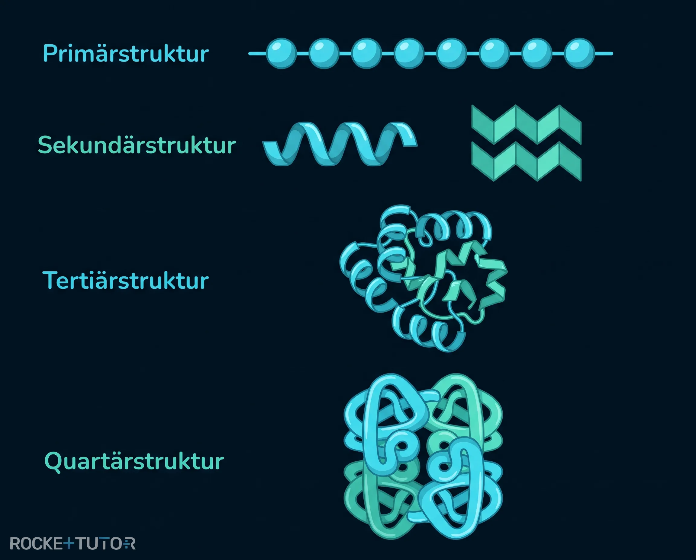 Proteinstrukturebenen Übersicht