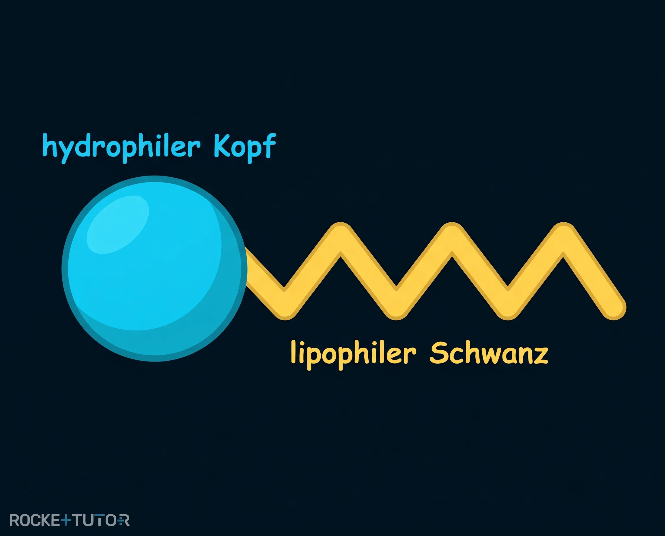 Aufbau eines Emulgatormoleküls