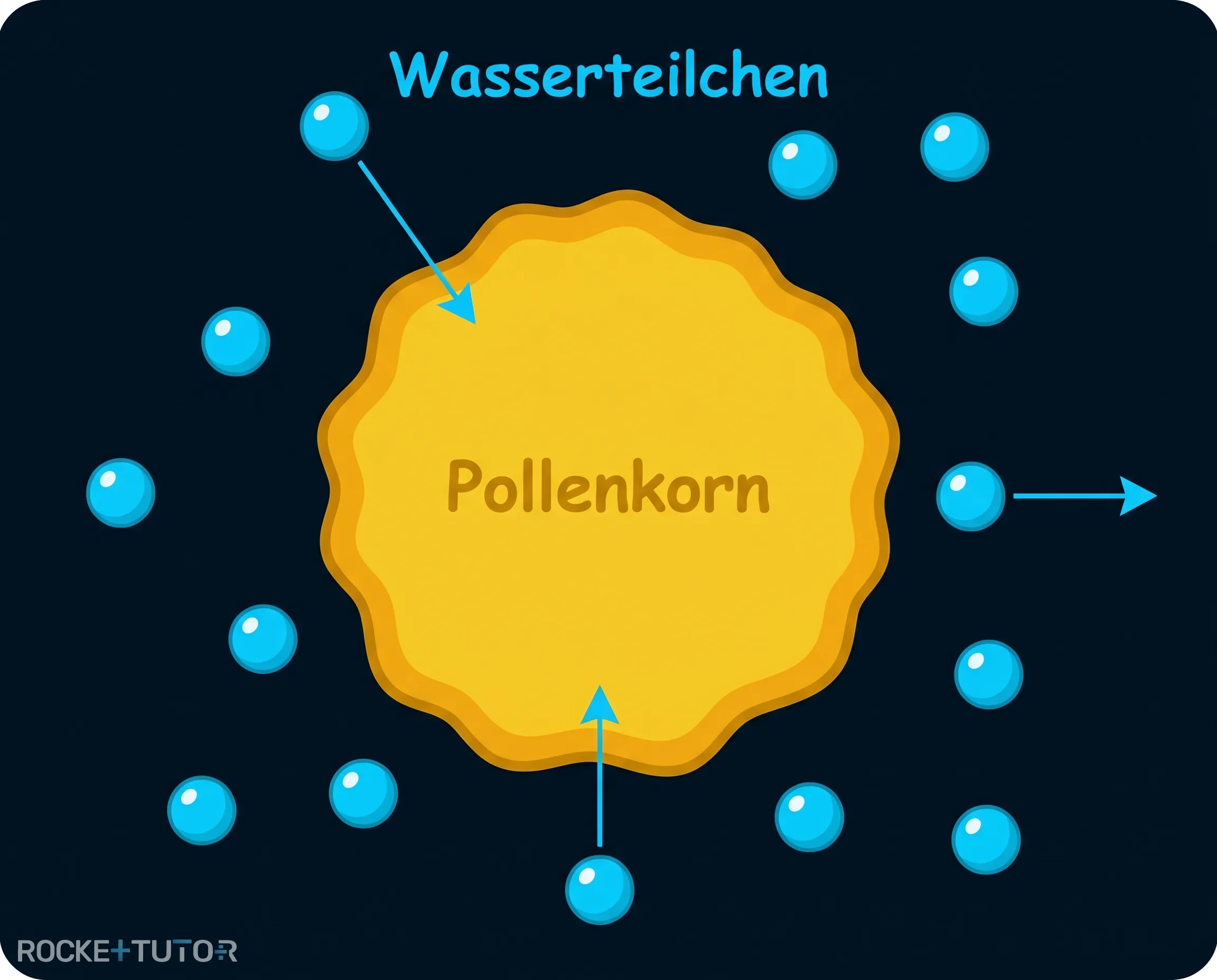 Brownsche Bewegung Teilchen