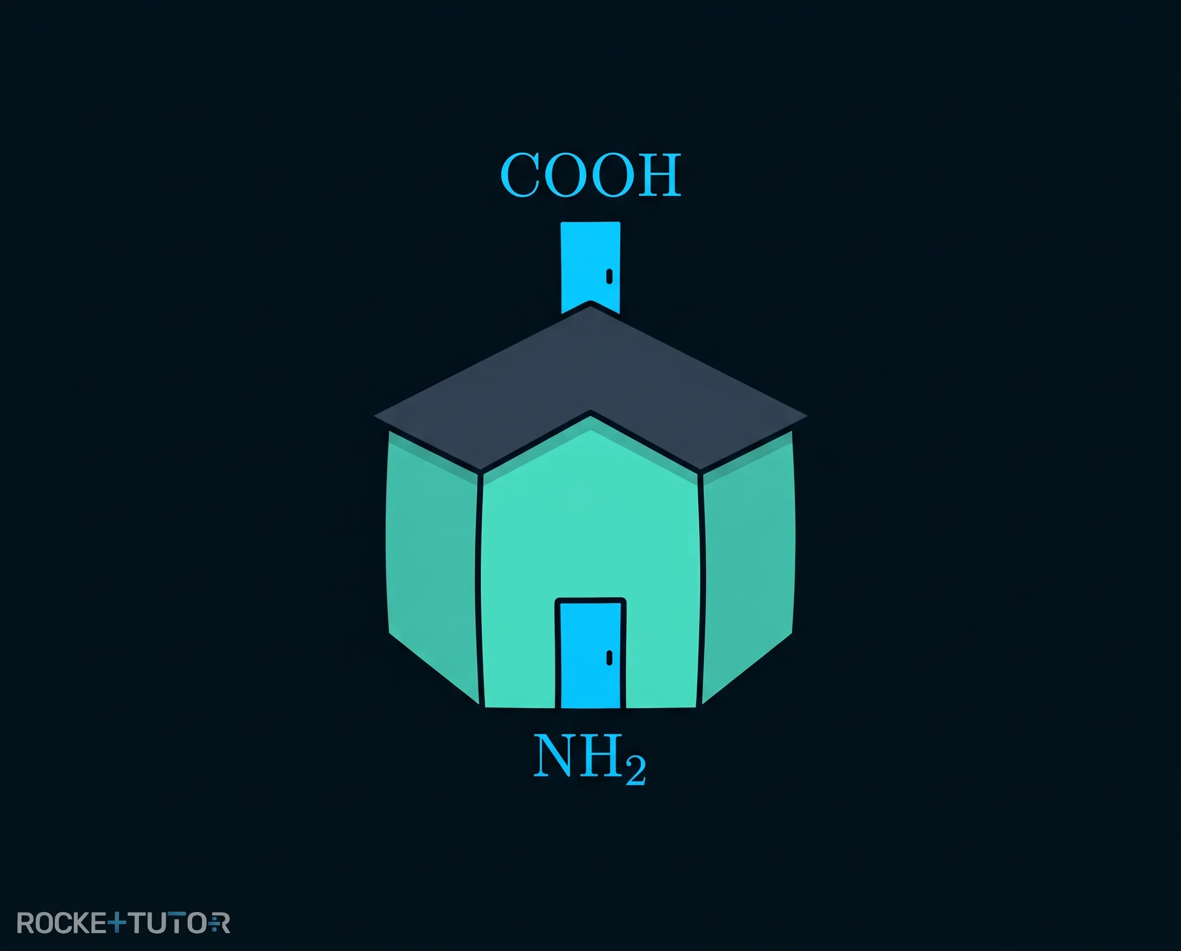 Molekül mit COOH und NH2