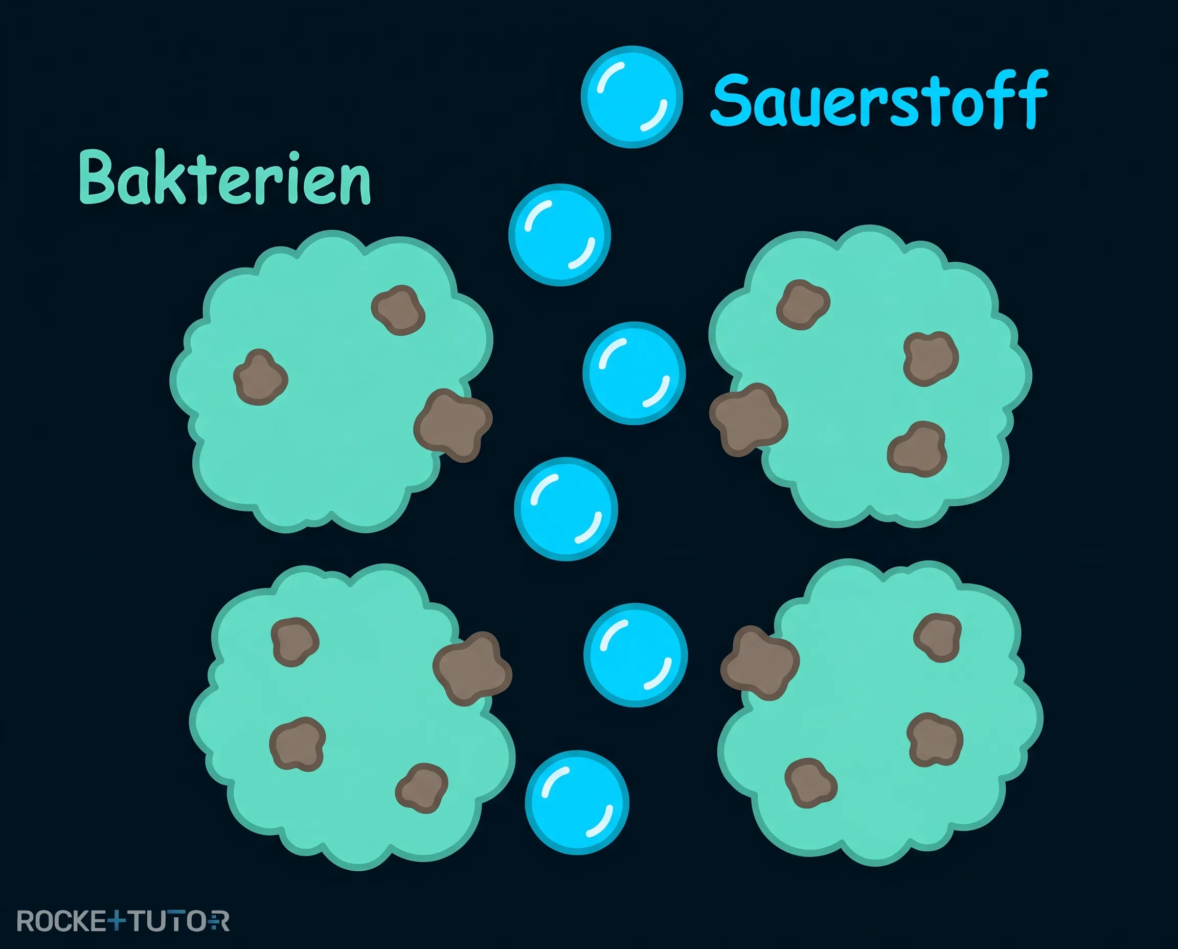 Bakterien im Belebtschlammbecken