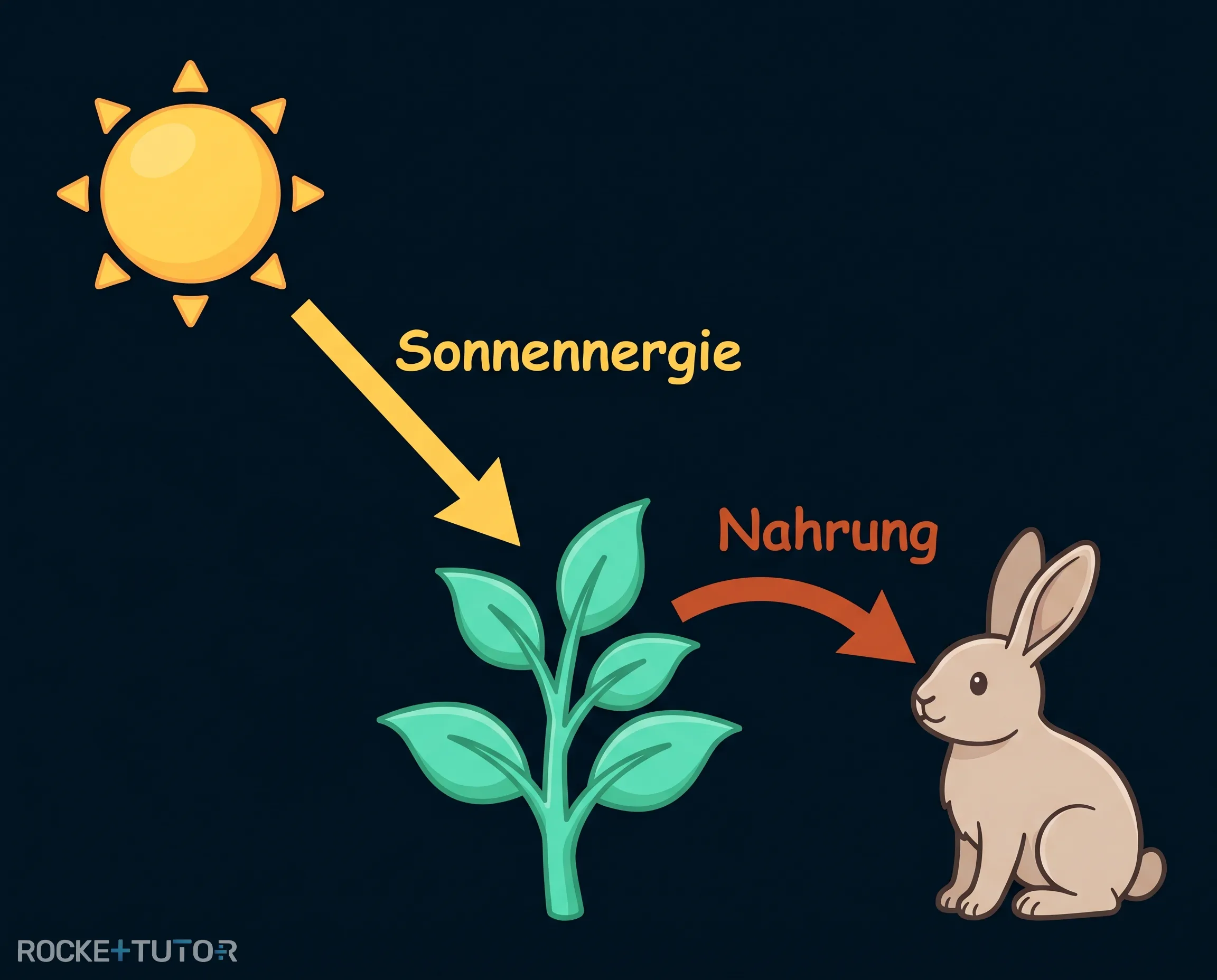 Nahrungskette von der Sonne