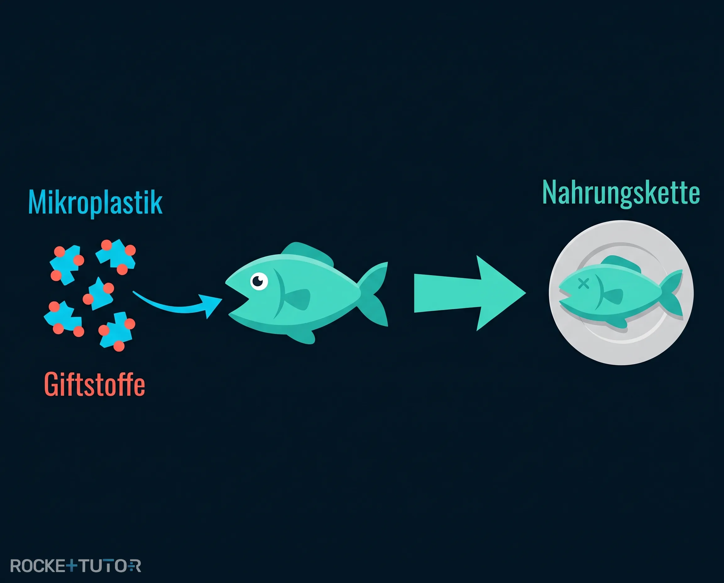 Mikroplastik in der Nahrungskette
