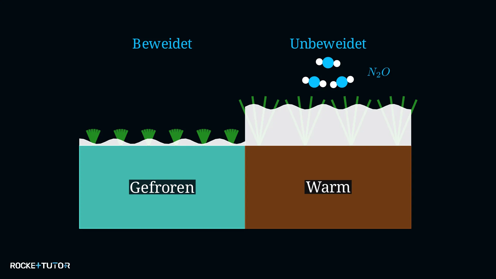 Einfluss von Schnee und Kühen