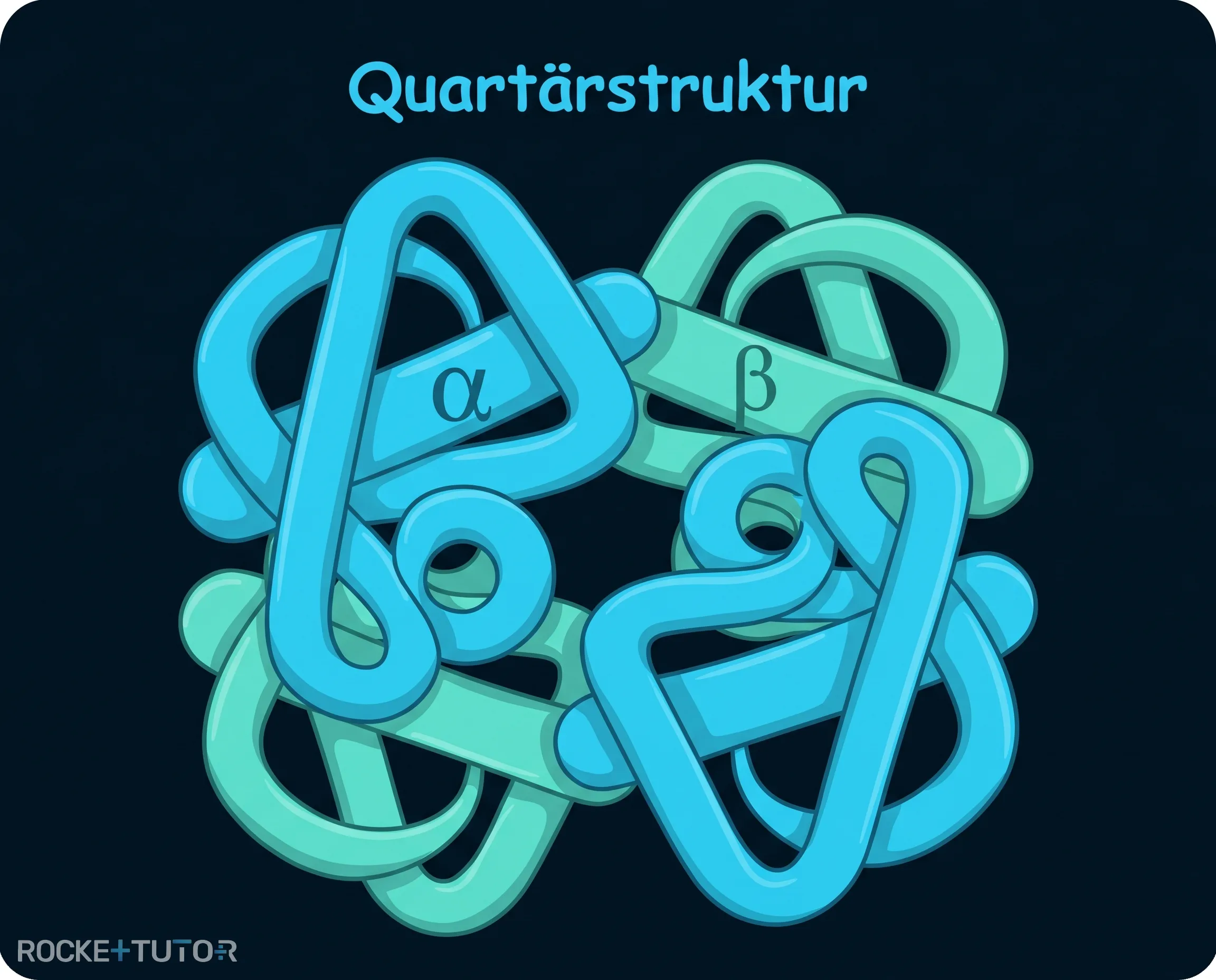 Hämoglobin mit Quartärstruktur