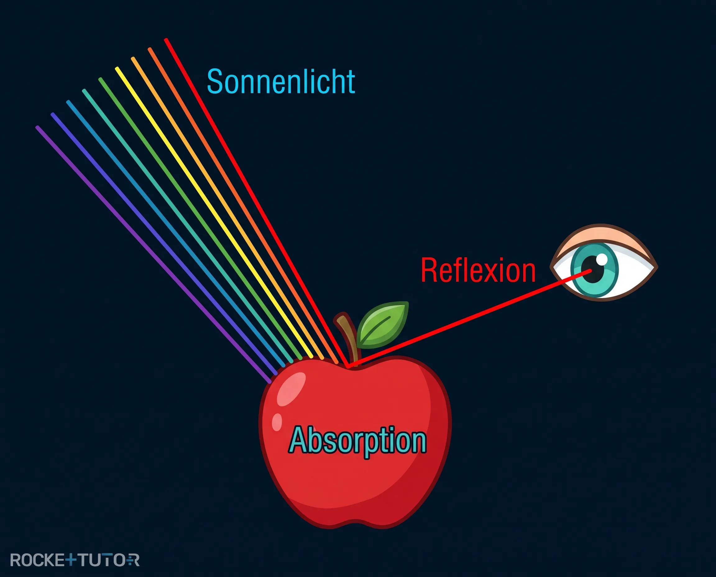 Lichtreflexion am roten Apfel