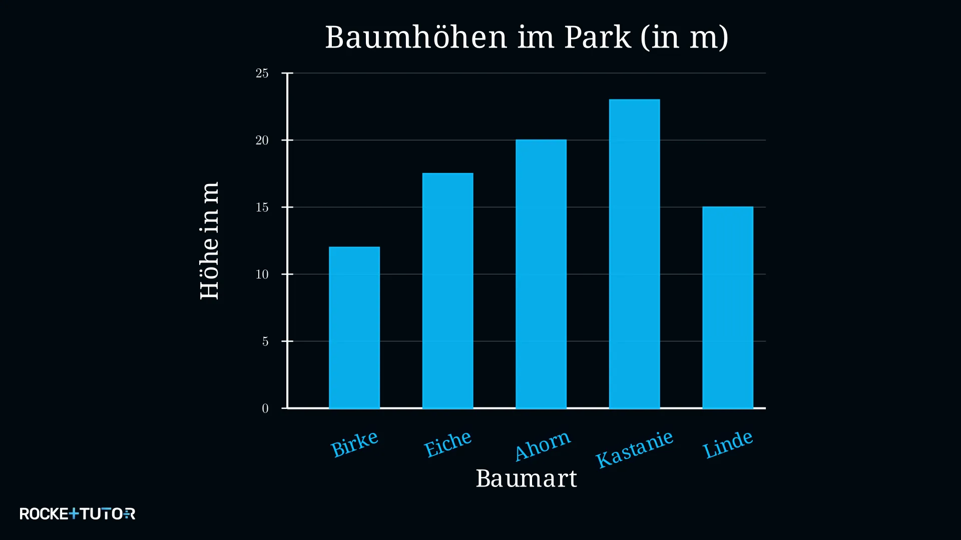 Säulendiagramm Baumhöhen verschiedener Baumarten im Park