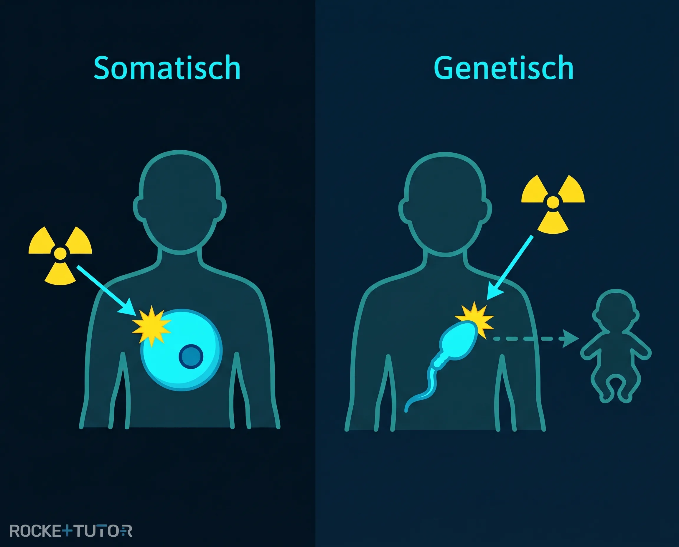 Somatische und genetische Schäden