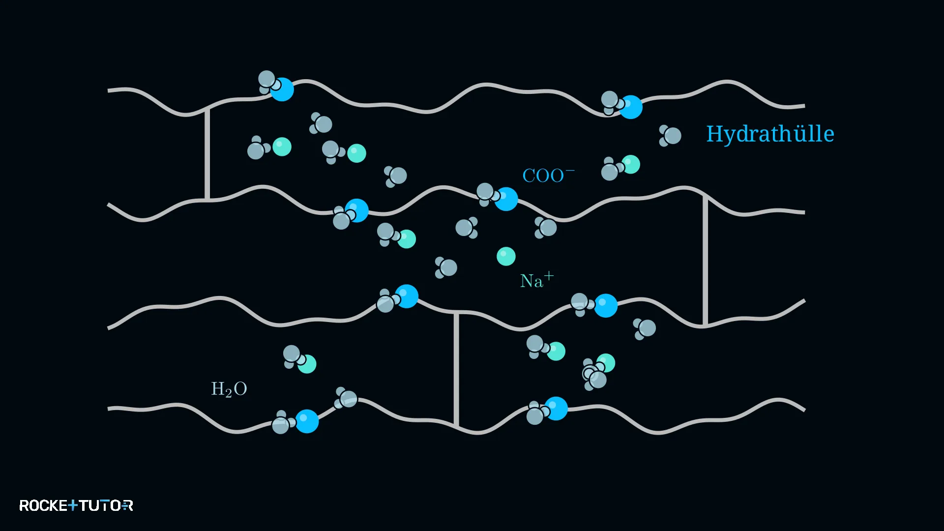 Quellmechanismus von Superabsorbern