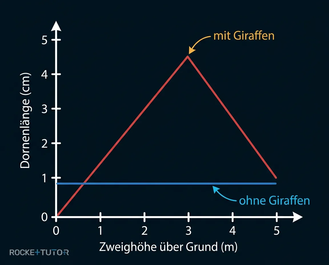 Graph Dornenlänge Akazien und Giraffen