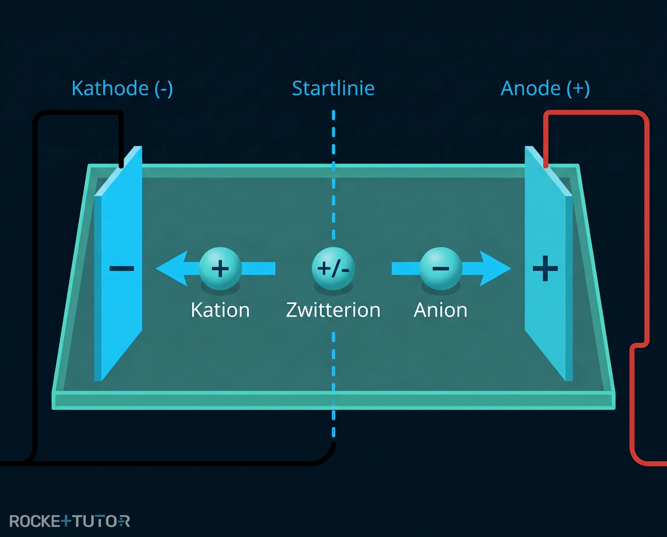 Elektrophorese von Aminosäuren