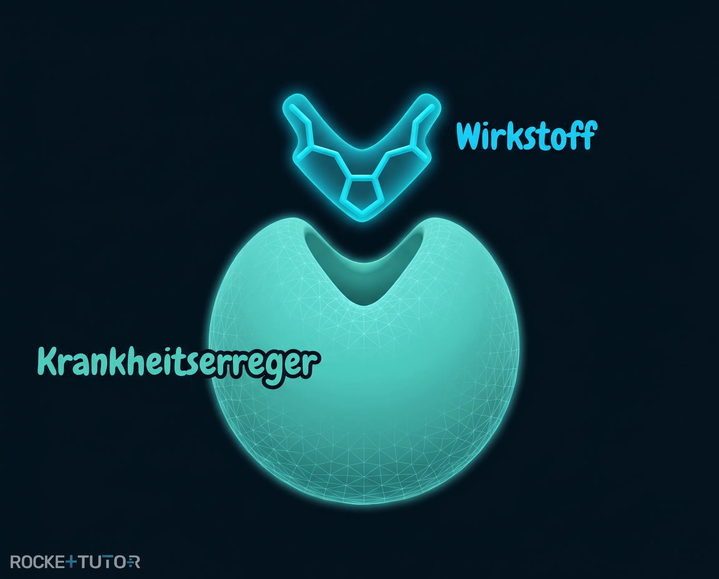 Schlüssel-Schloss-Prinzip bei Wirkstoffen