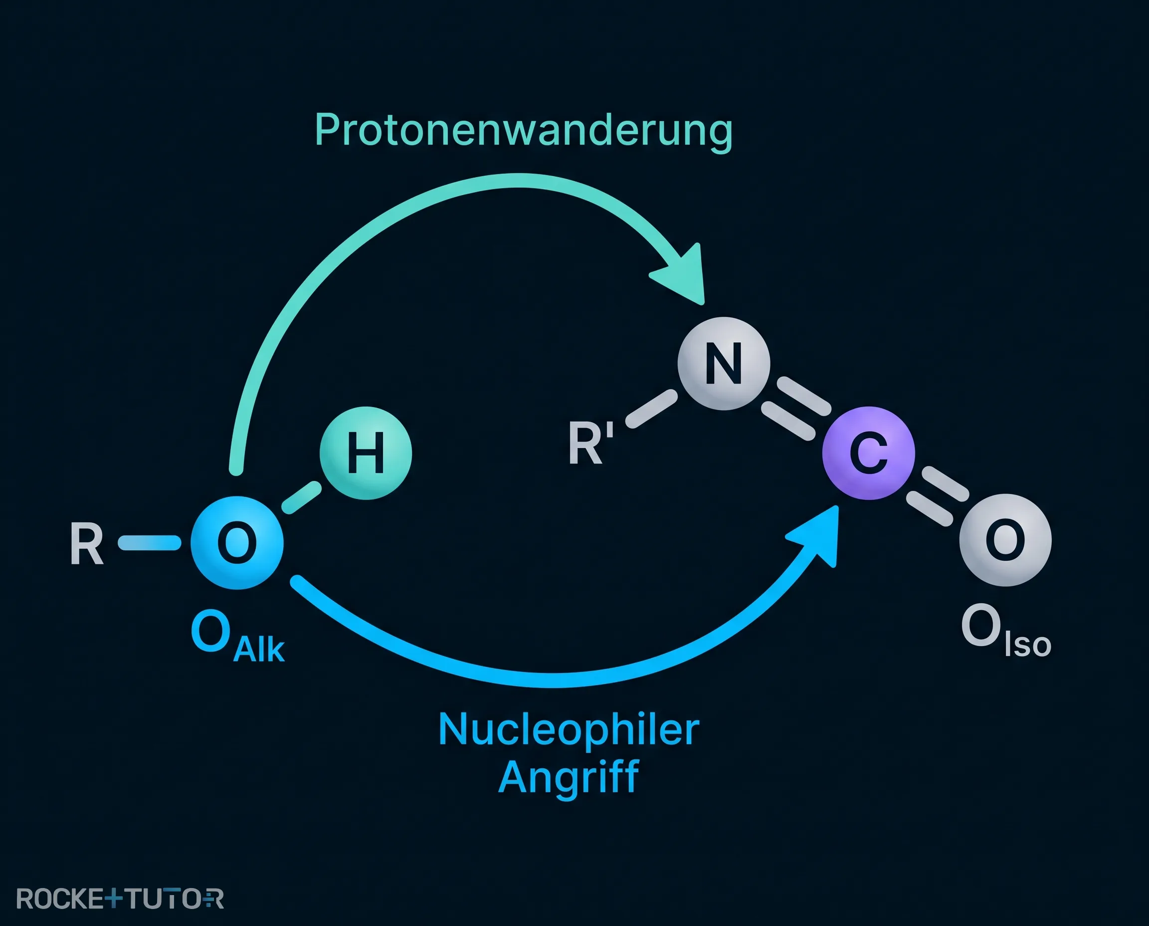 Reaktionsmechanismus der Polyurethan Synthese