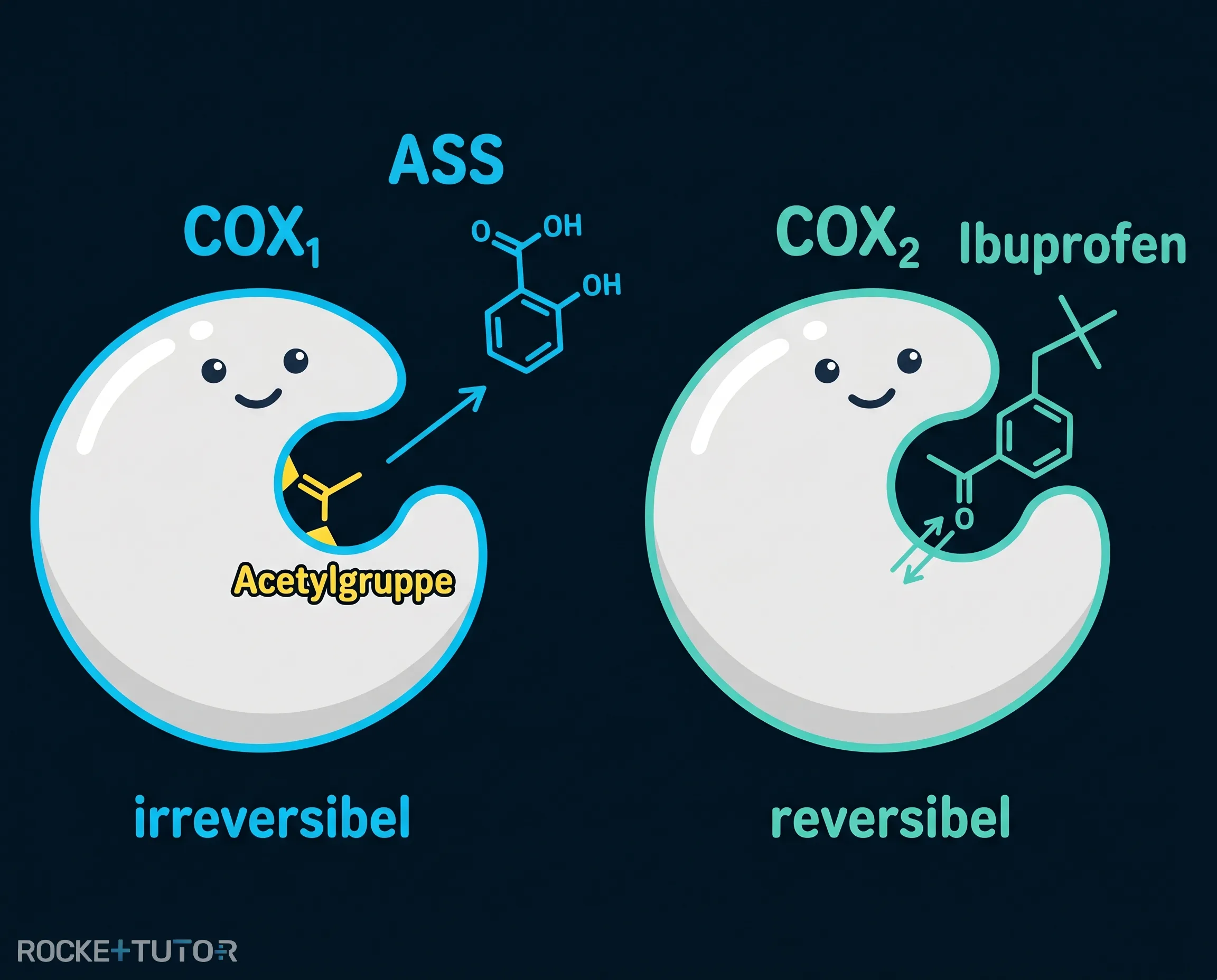 Ibuprofen kompetitive Hemmung