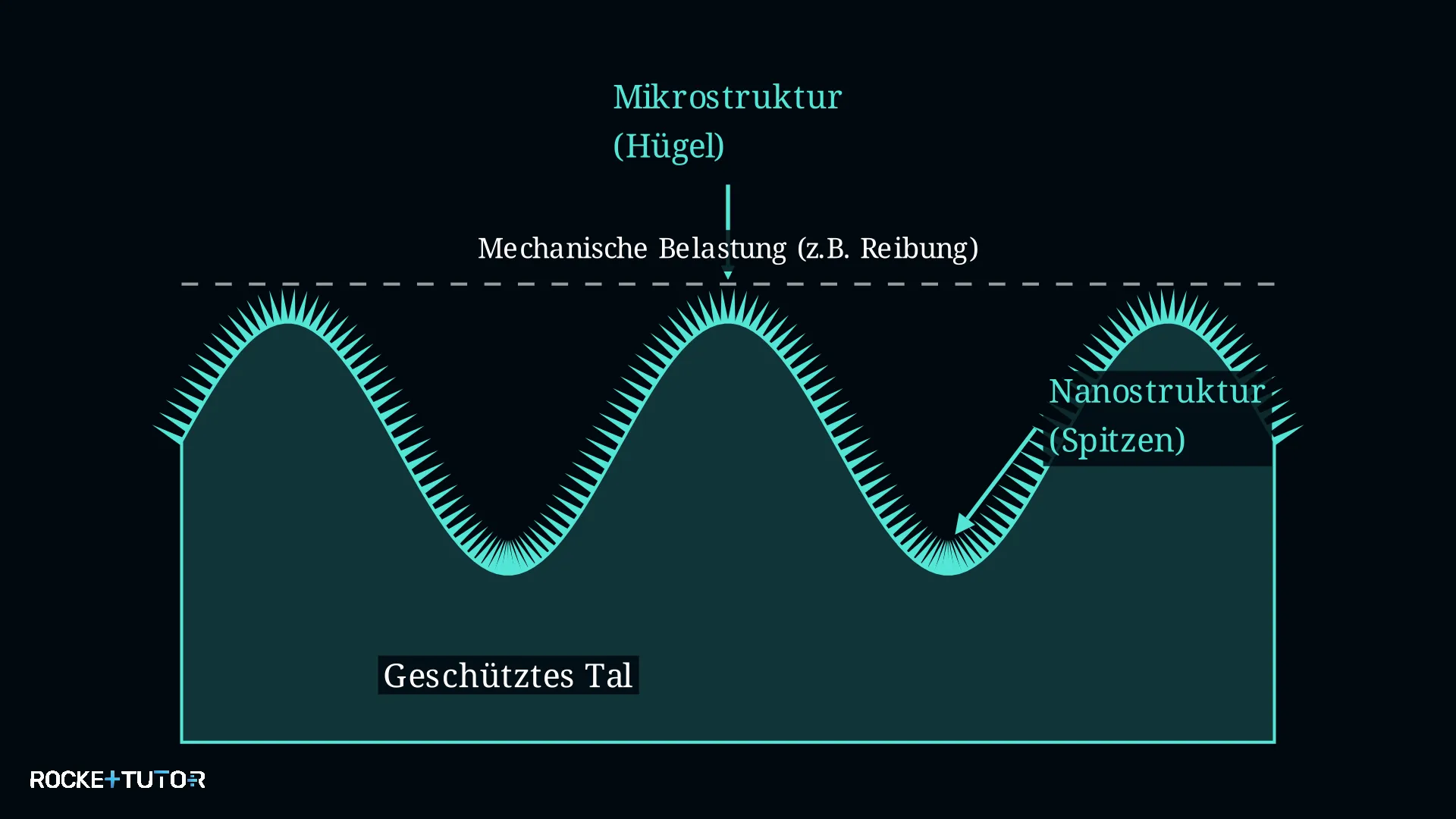 Zwei-Skalen-Rauheit mit Mikrostrukturen und Nanostrukturen