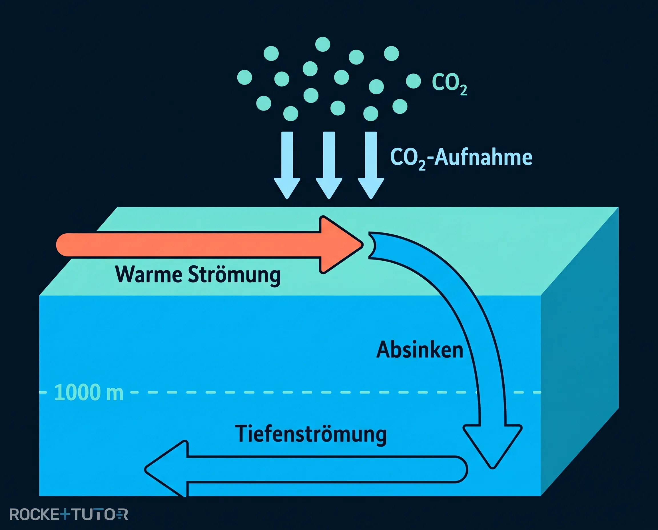 Globale Meeresströmungen und CO2-Transport