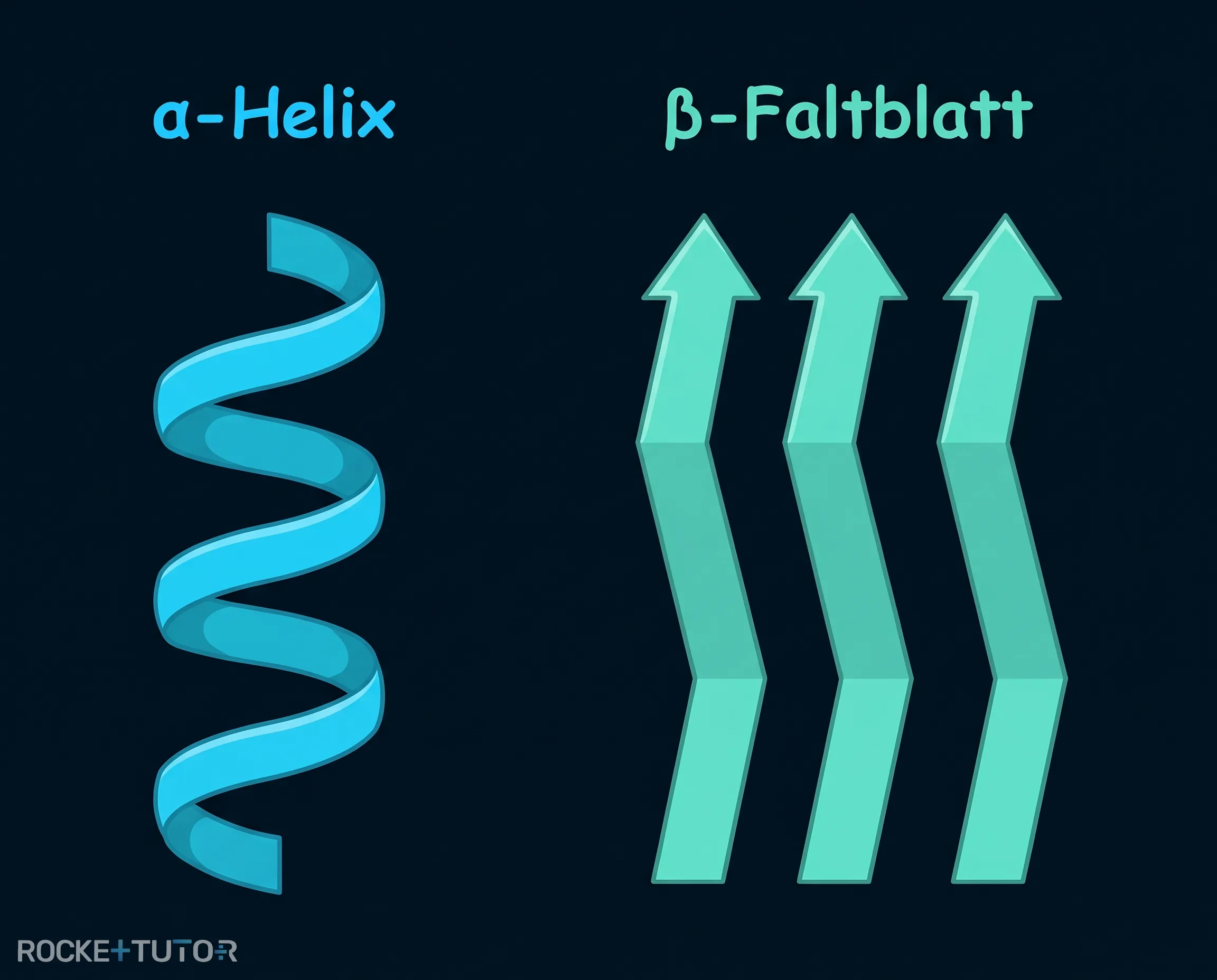 Alpha-Helix und Beta-Faltblatt