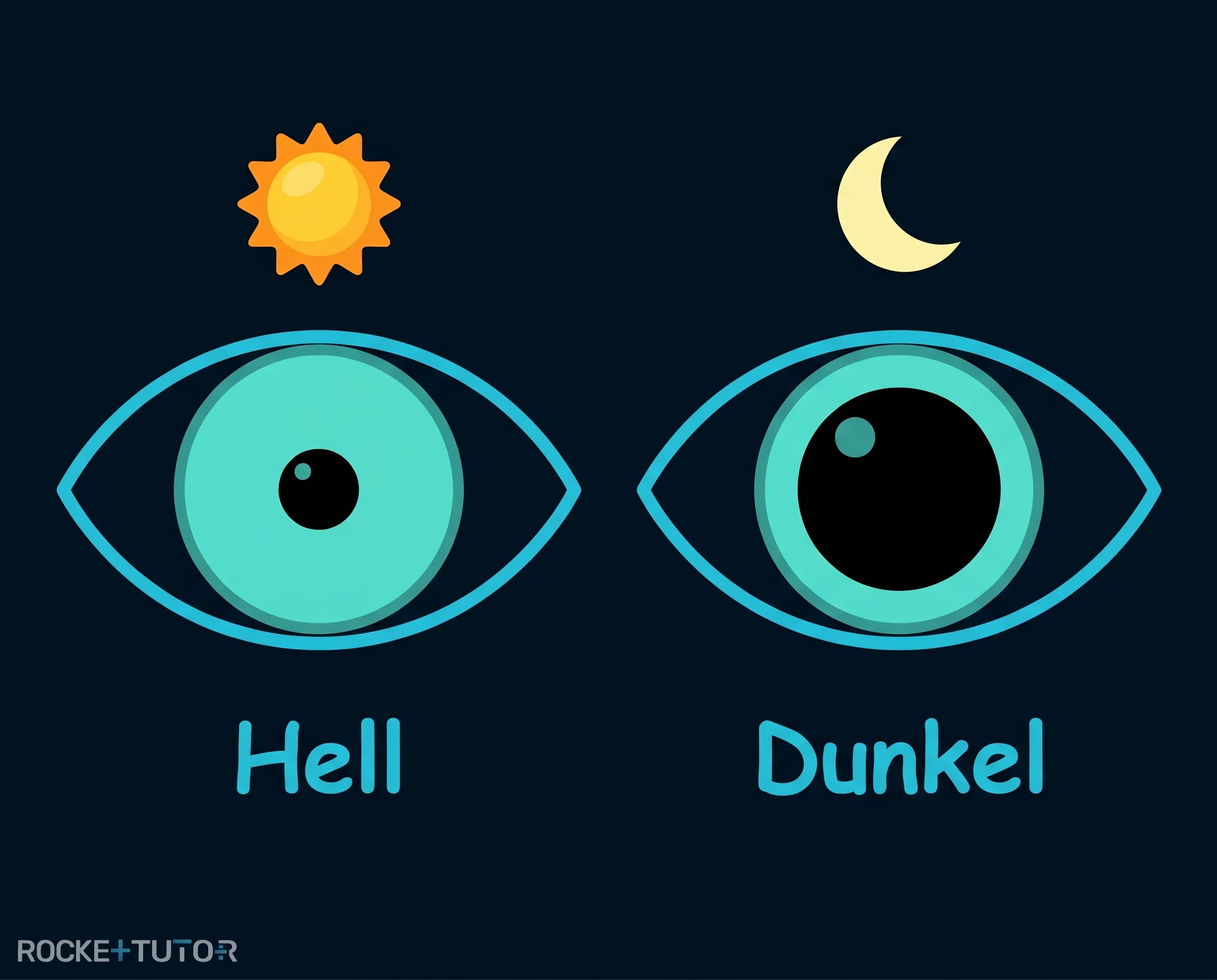 Pupille bei Licht und Dunkelheit