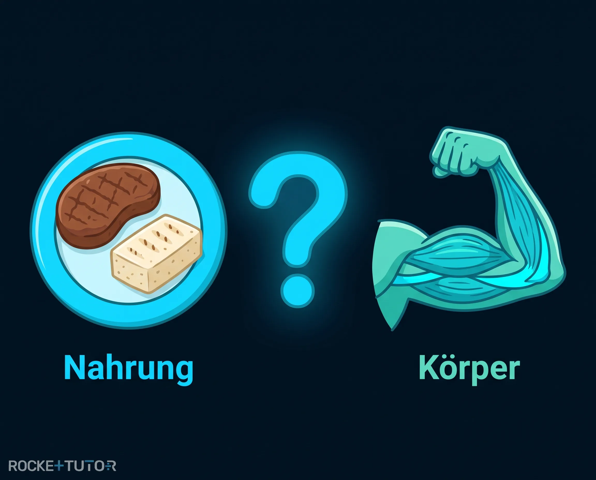 Nahrungsproteine und Muskelaufbau