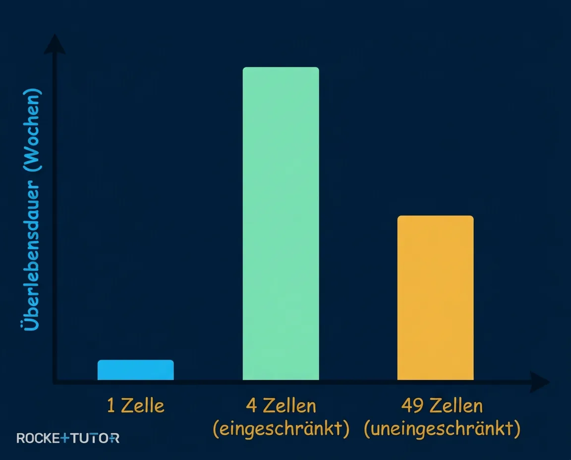 Experiment mit Bohnenkäfer und Schlupfwespe