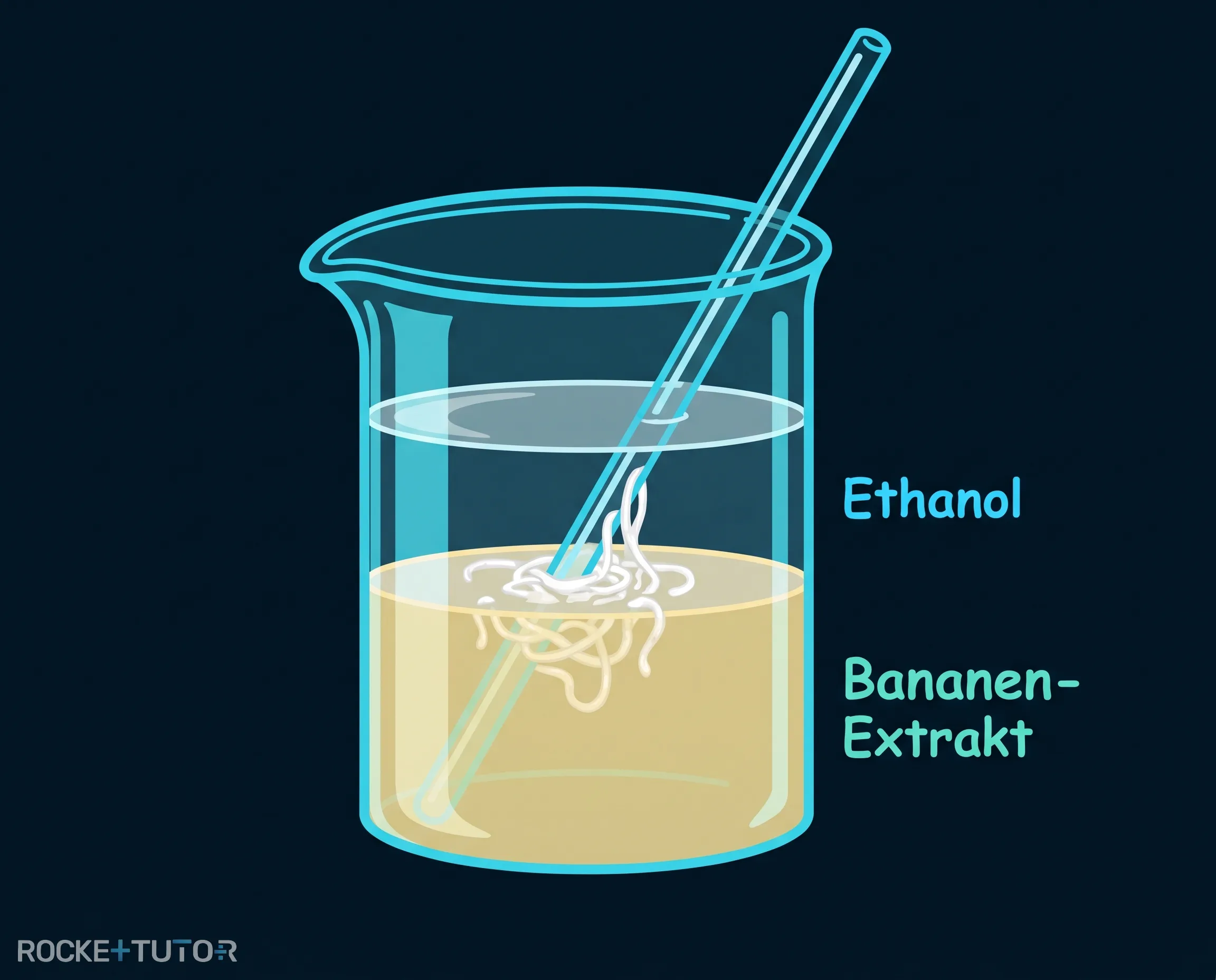DNA Extraktion aus Banane