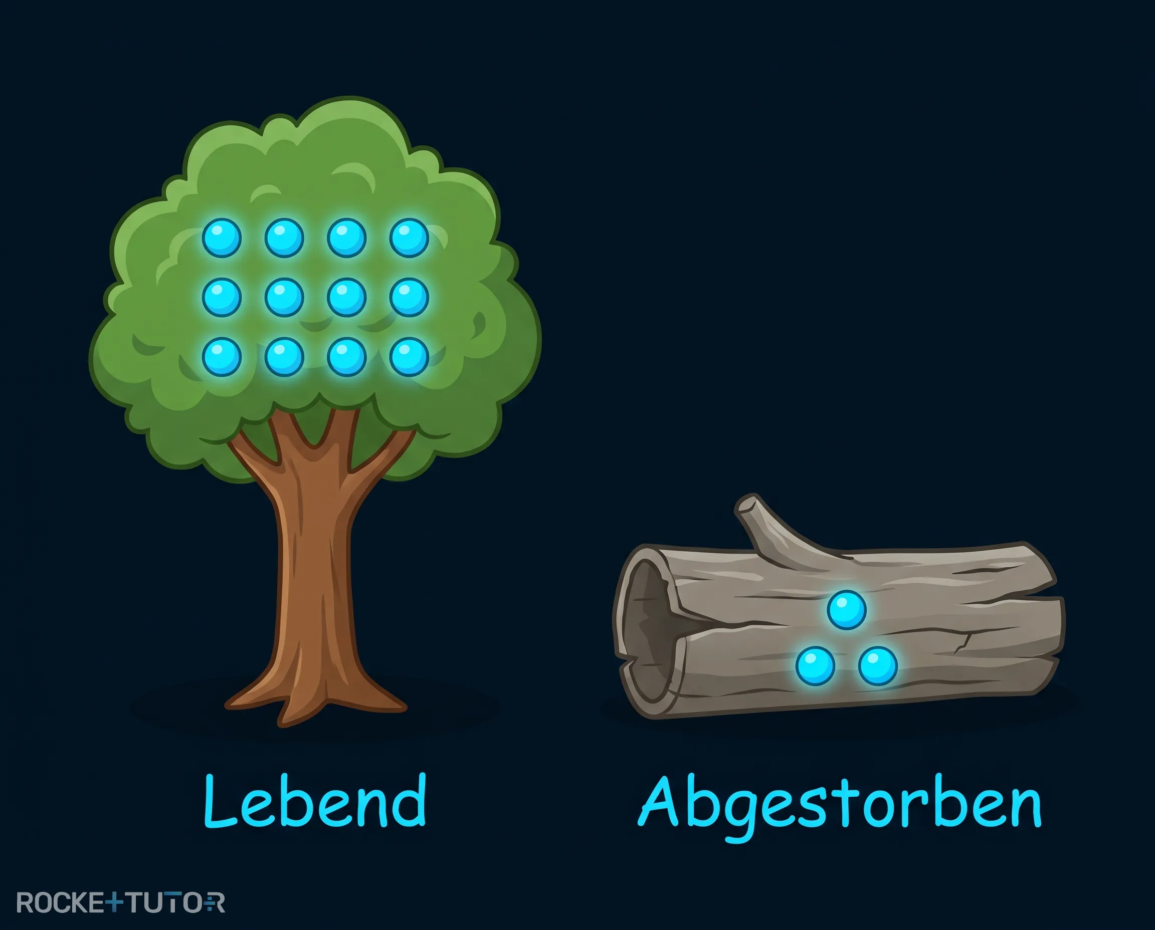 Diagramm zum Zerfall von C-14