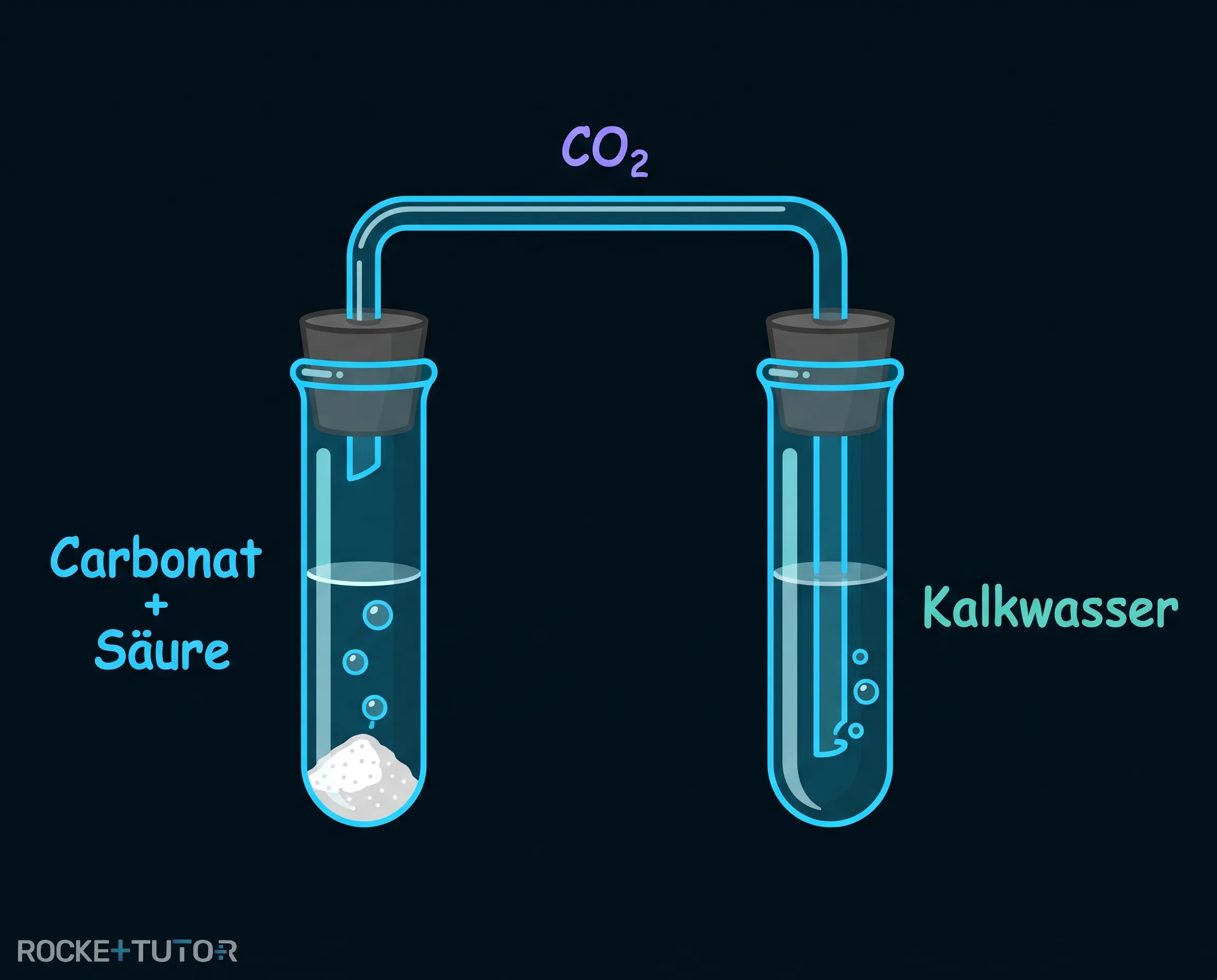 Kalkwasserprobe mit zwei Reagenzgläsern