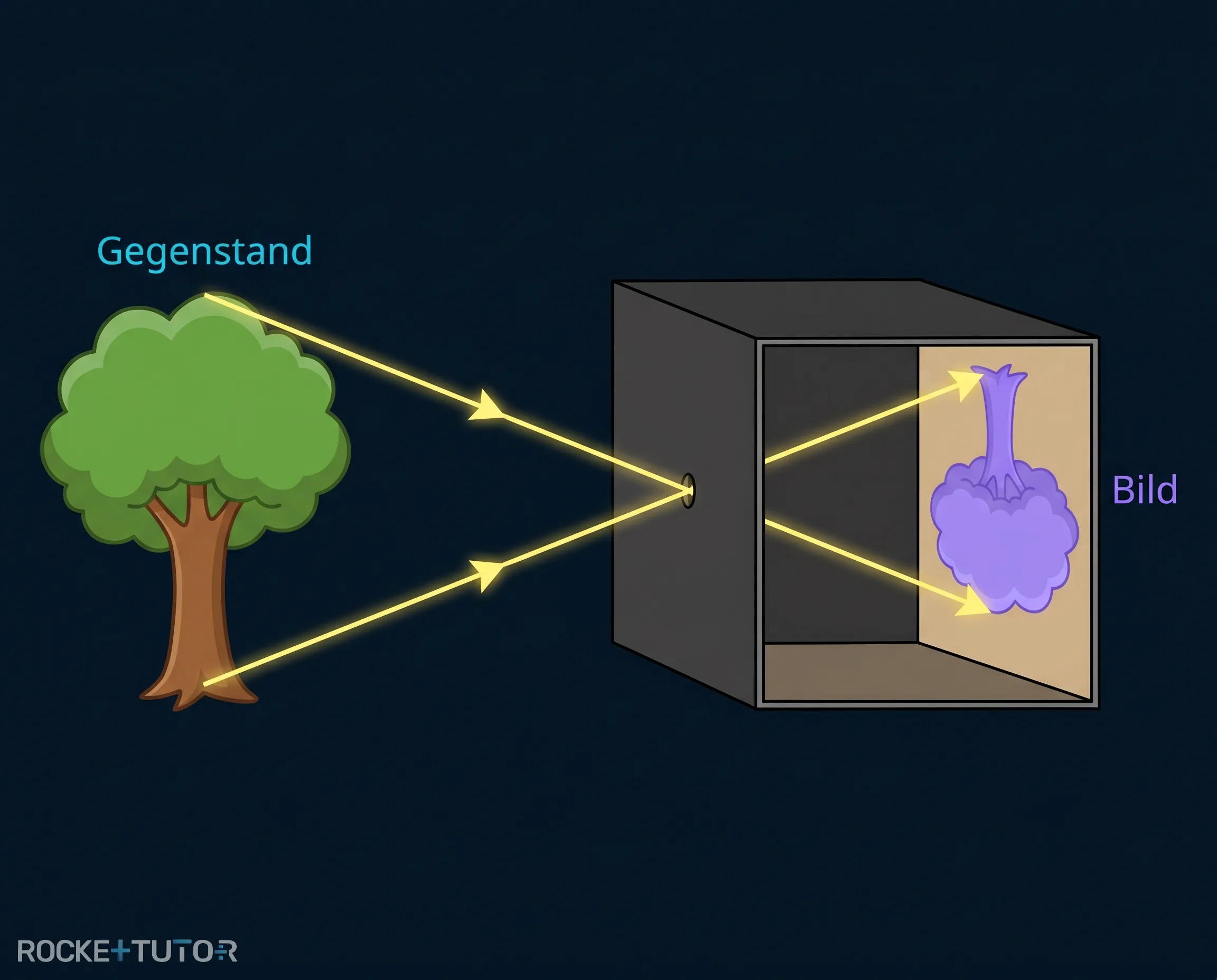 Funktionsweise der Lochkamera Baum