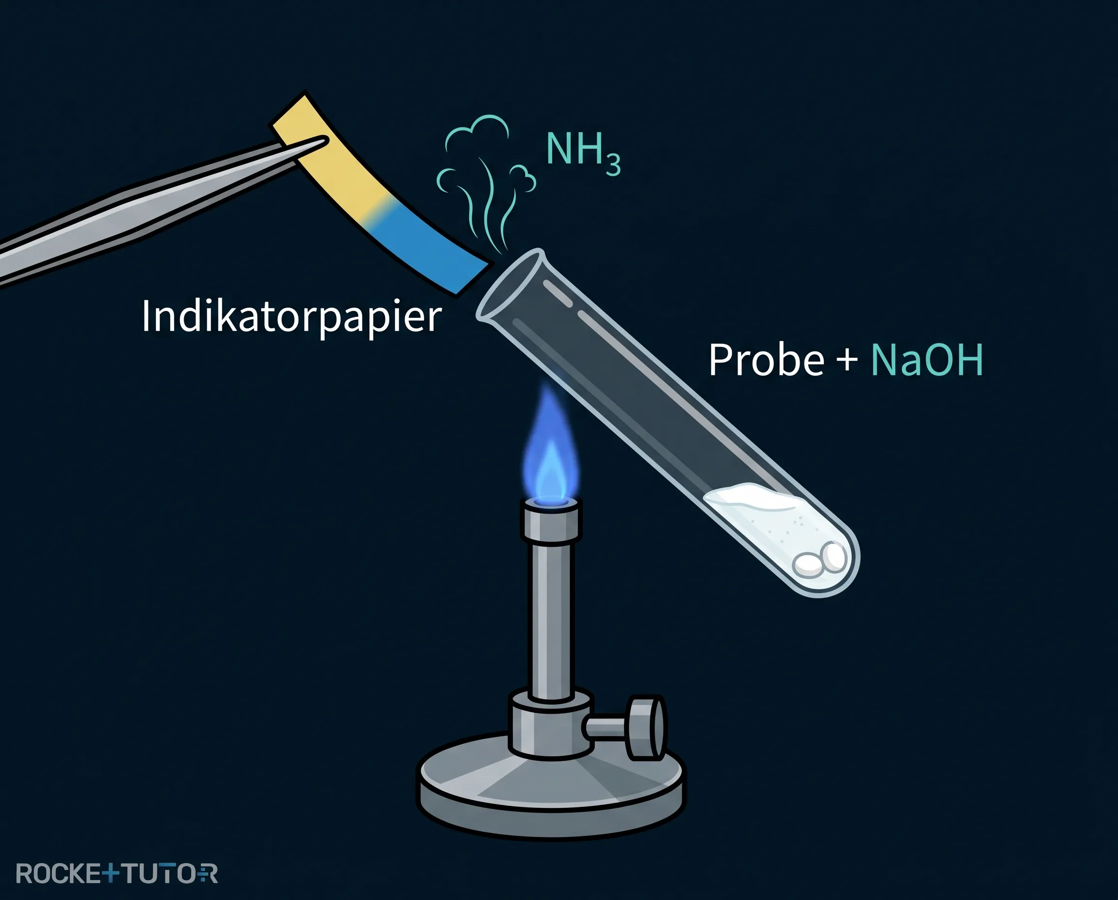 Ammoniumnachweis mit blauem Indikatorpapier