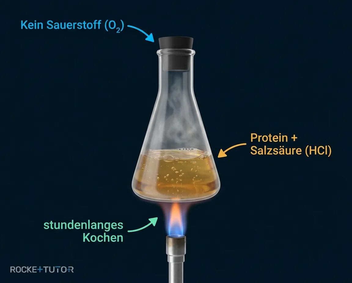 Protein wird in Salzsäure gekocht