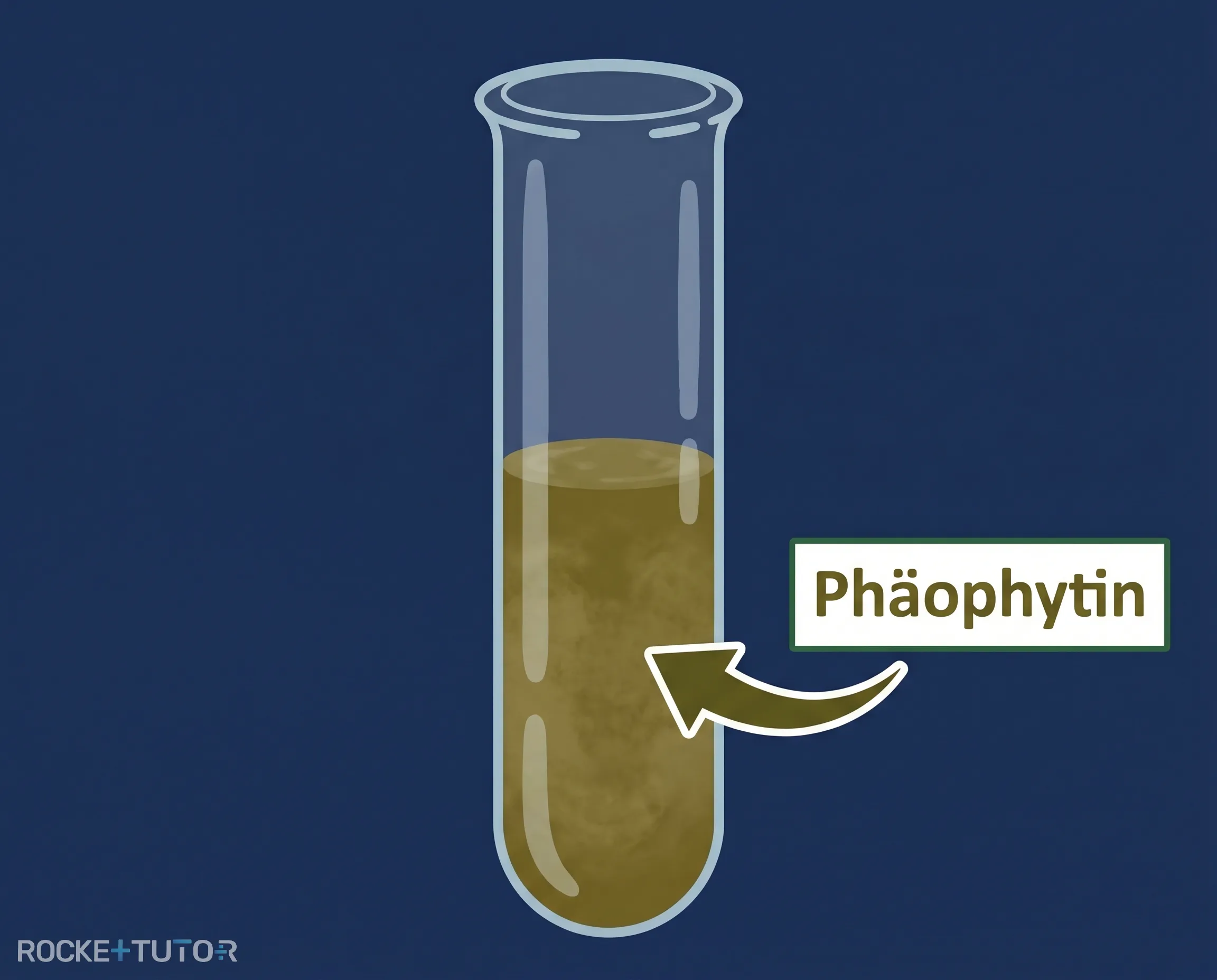 Reagenzglas mit olivbraunem Phäophytin