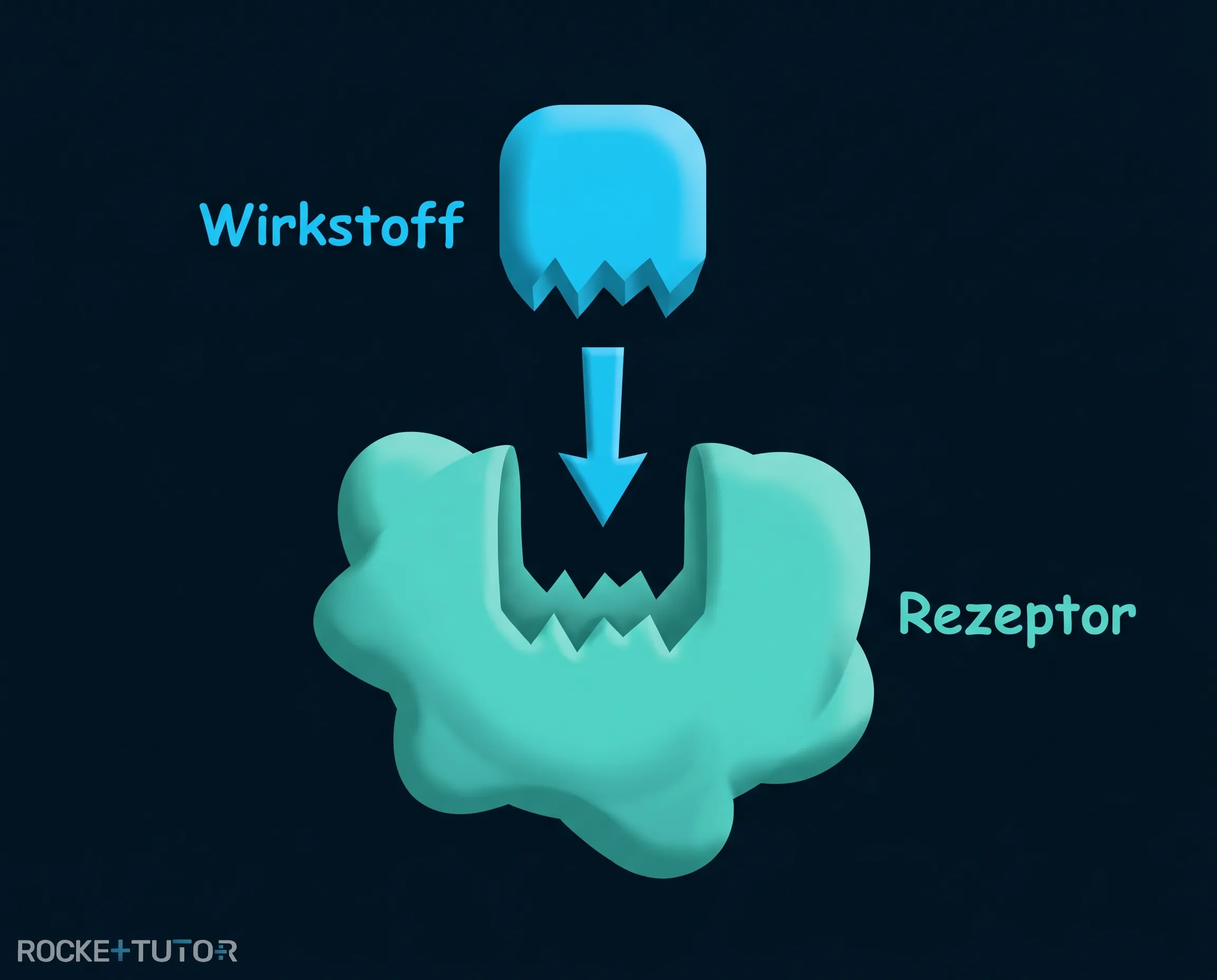 Rezeptor und Wirkstoffmolekül