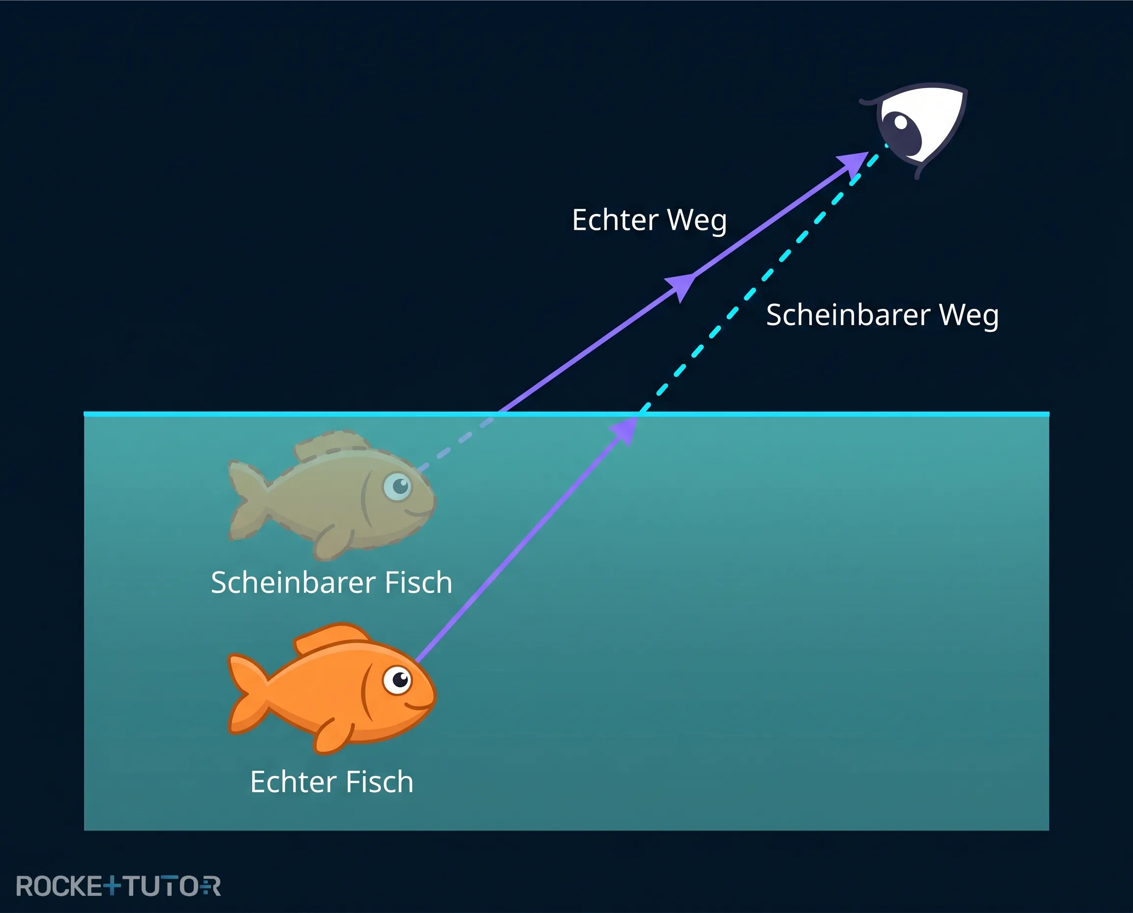 Lichtbrechung beim Fisch unter Wasser