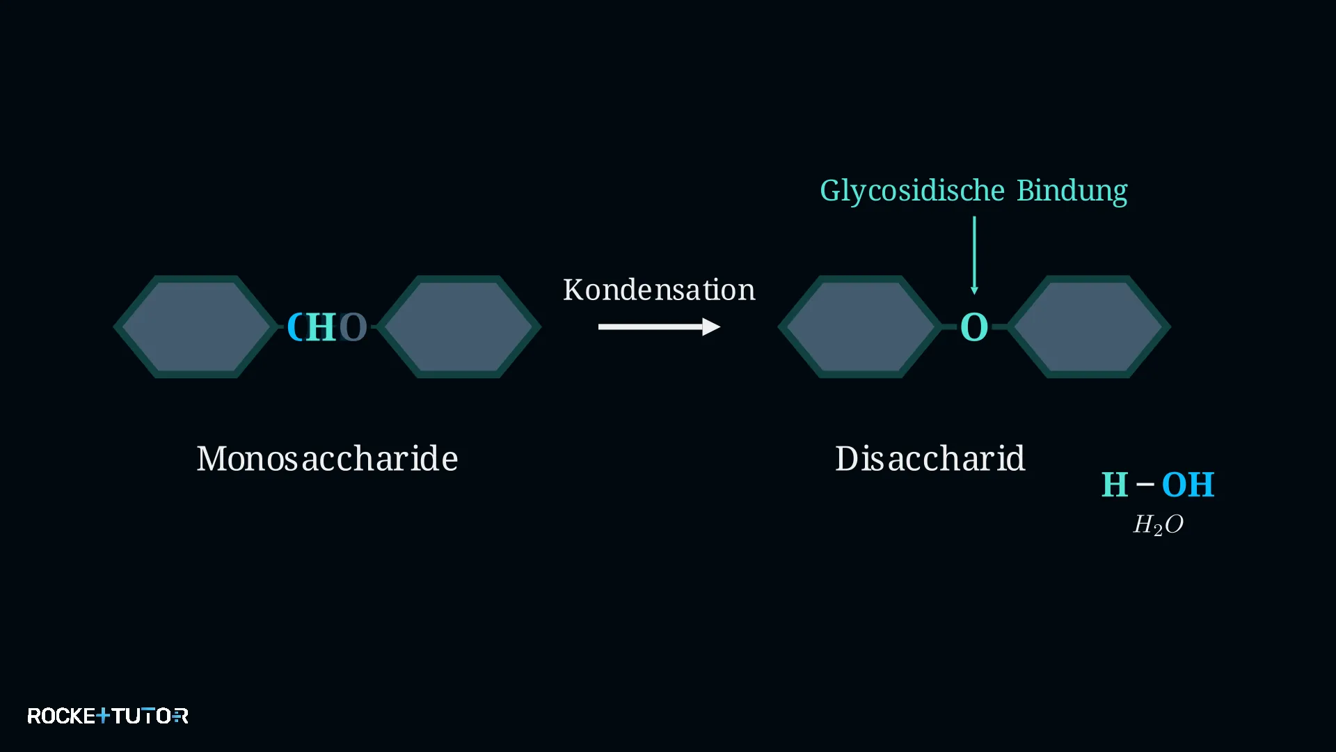 Reaktion zweier Monosaccharide zu Disaccharid