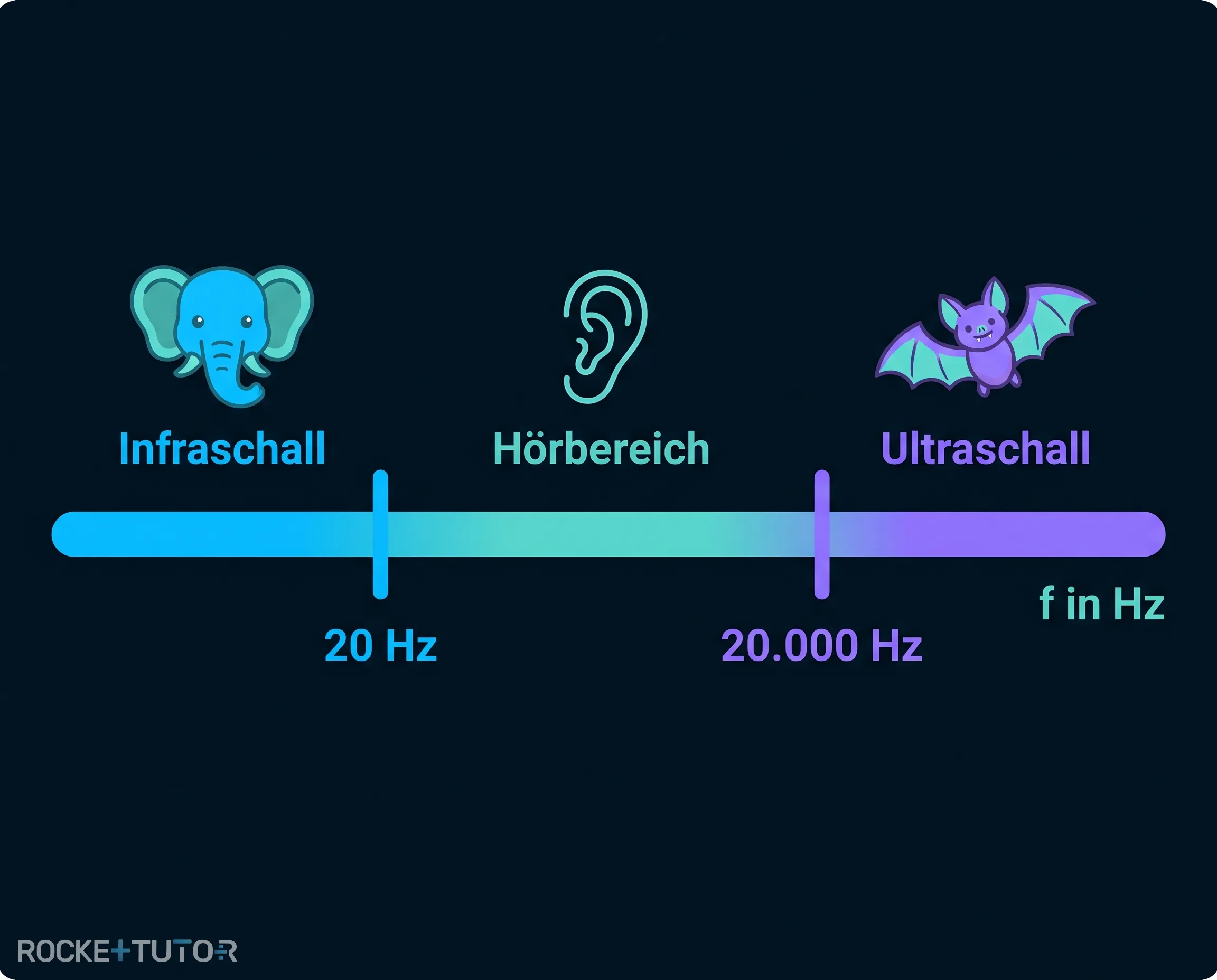Hörbereich von Mensch und Tier