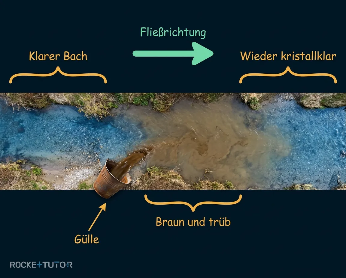 Fluss mit Selbstreinigung und Tieren