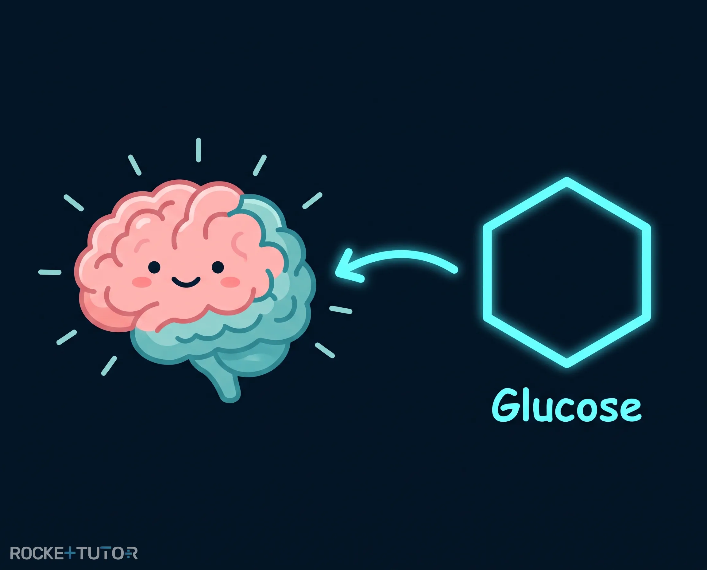 Struktur von Glucose Molekülen