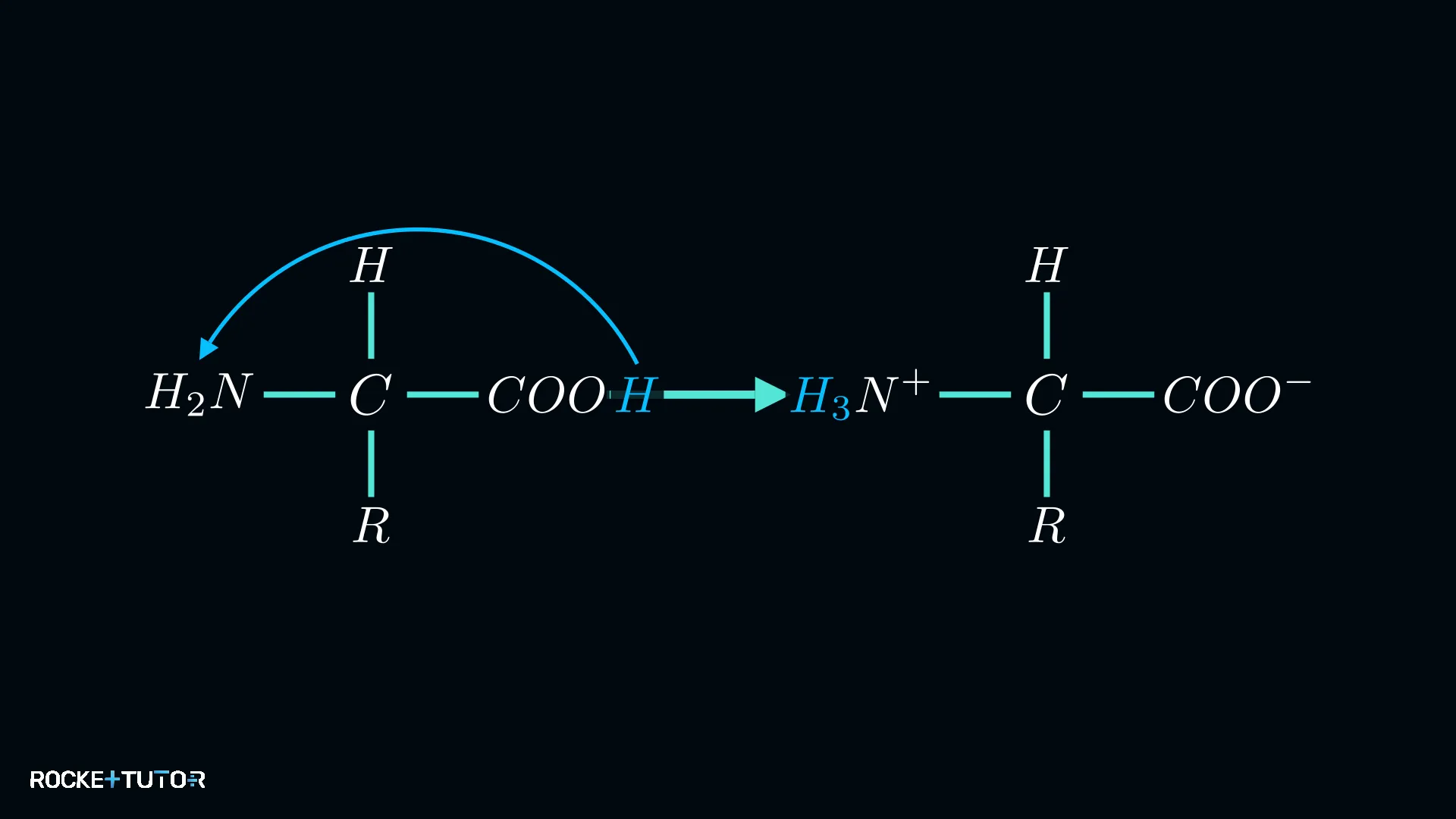 Zwitterion Bildung der Aminosäure