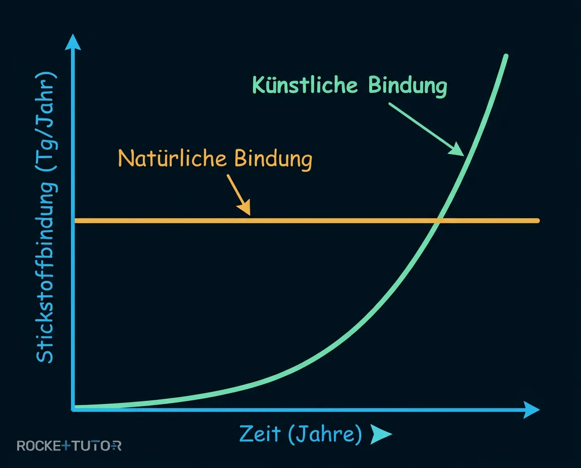Haber-Bosch-Verfahren und ökologische Folgen
