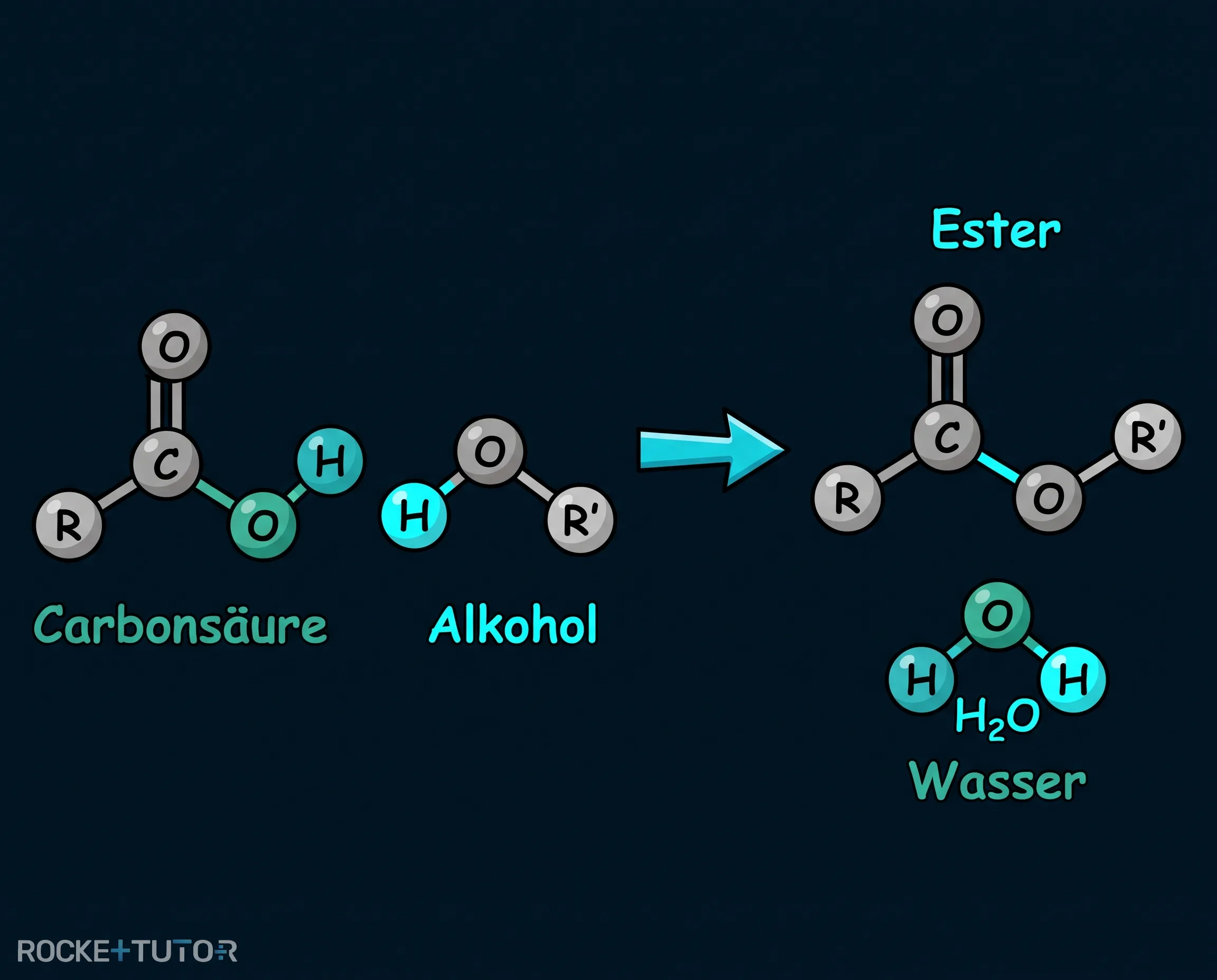 Reaktionsgleichung der Veresterung