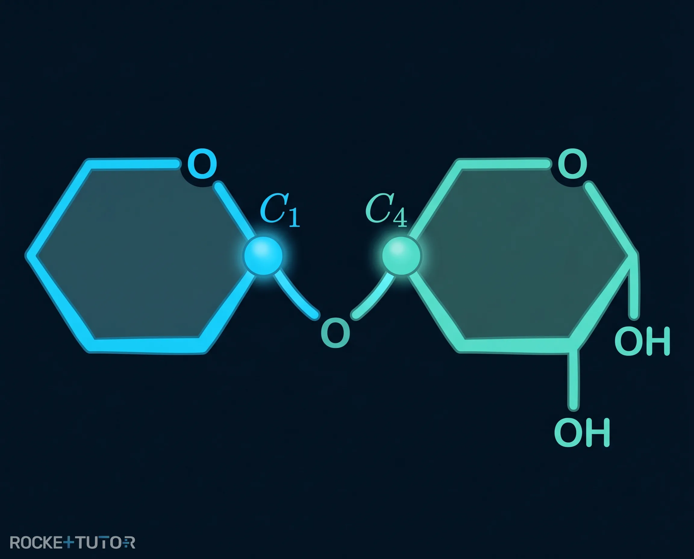 Strukturformel von Maltose