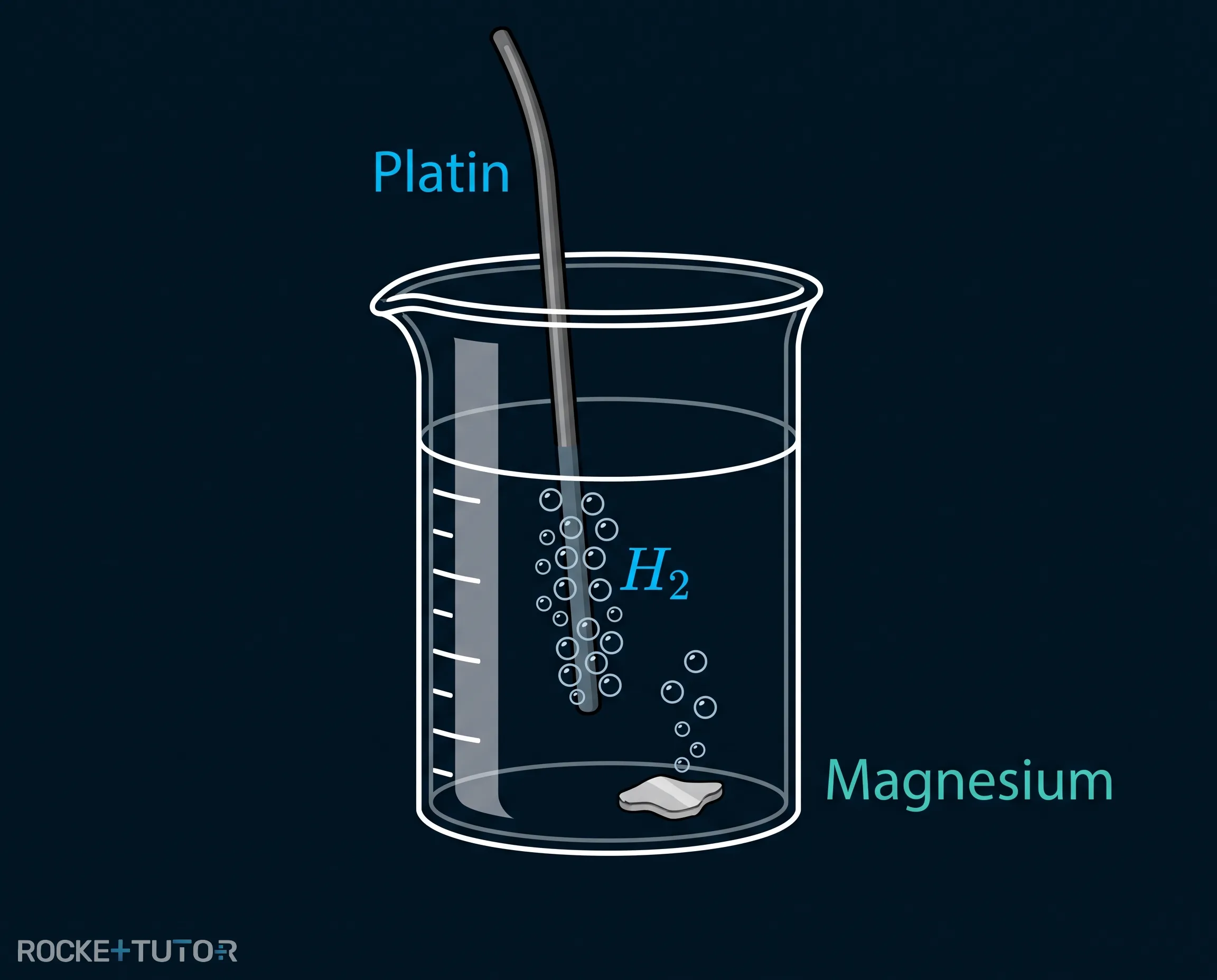 Wasserstoffbezugselektrode mit Platinelektrode