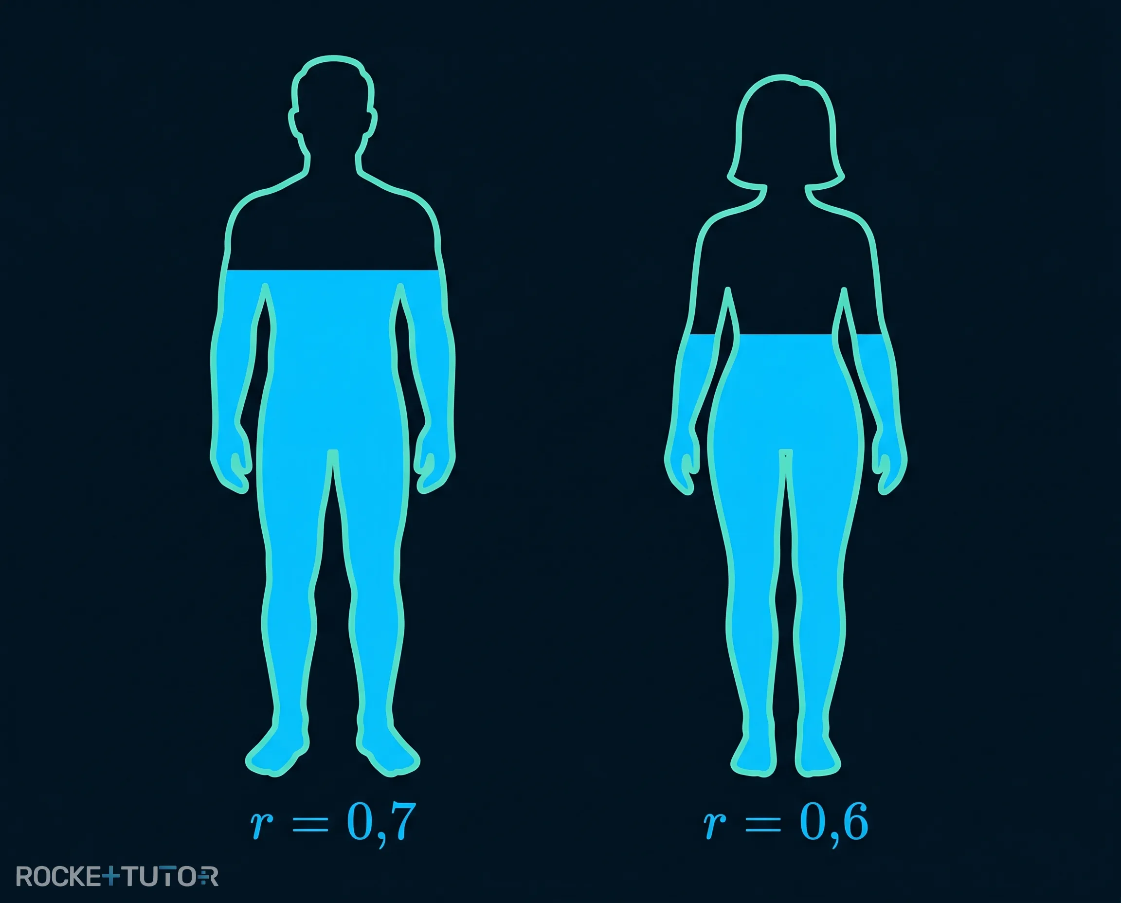 Illustration der Widmark-Formel und Reduktionsfaktoren