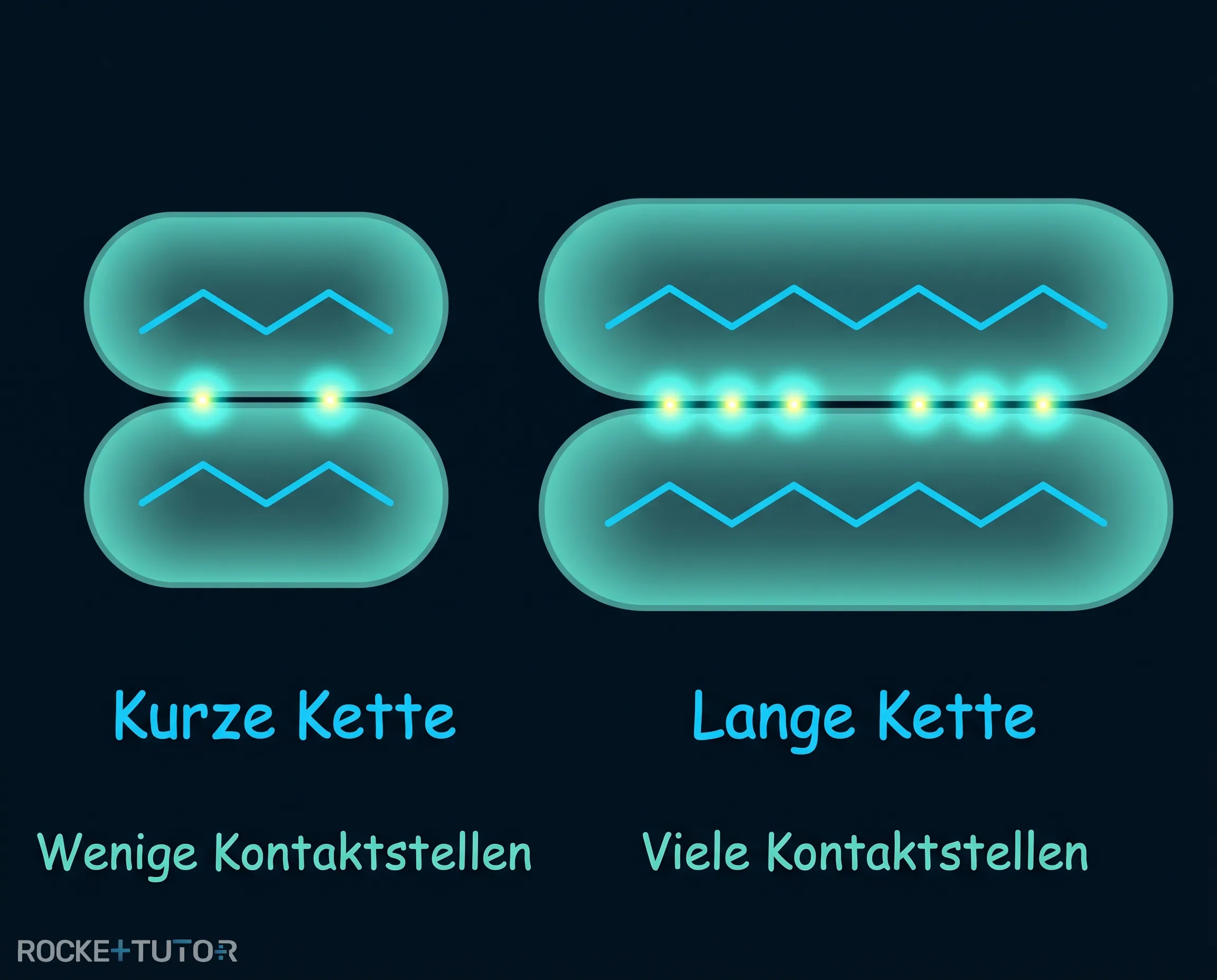 Einfluss der Kettenlänge