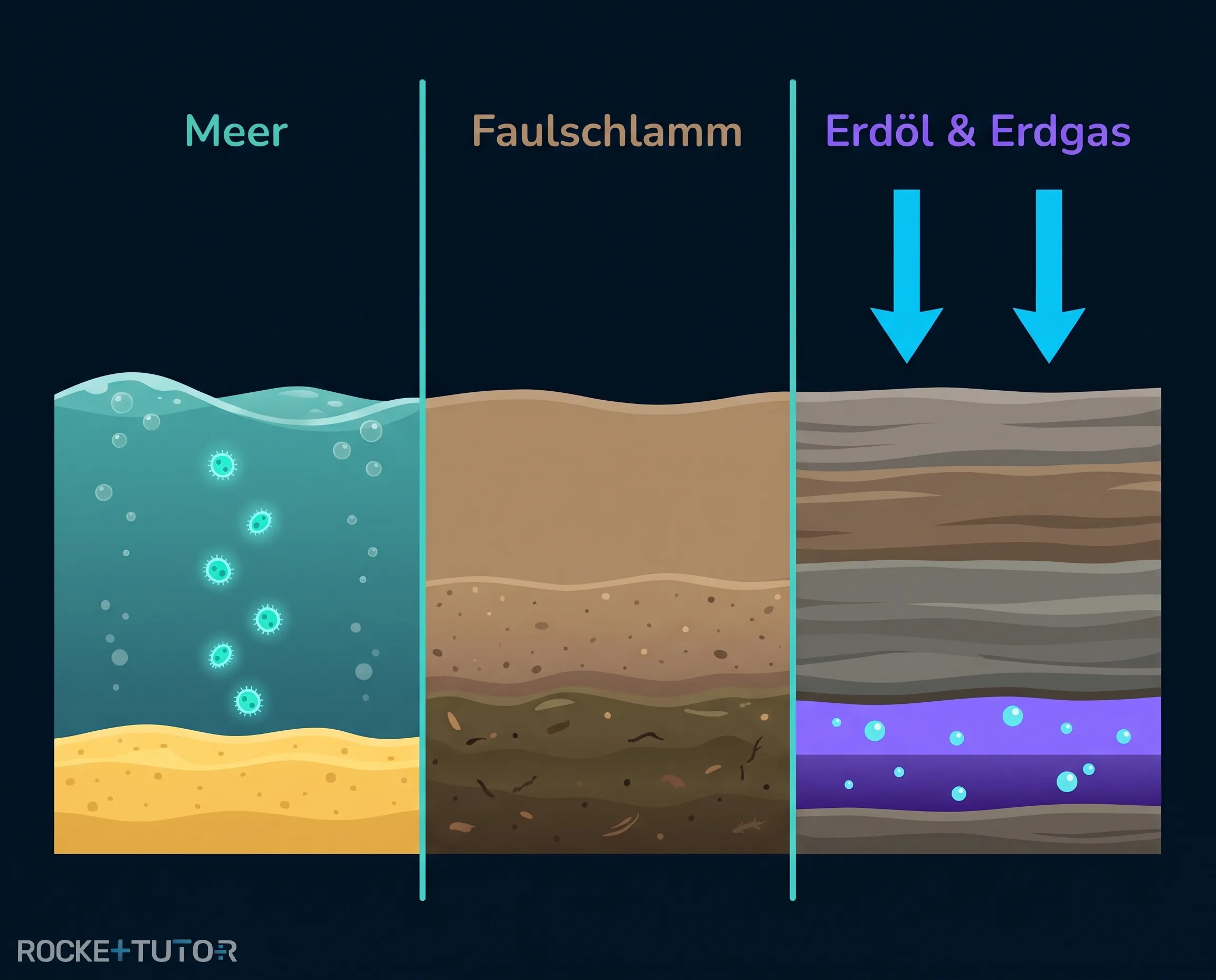 Schichtenbildung und Entstehung von Erdöl
