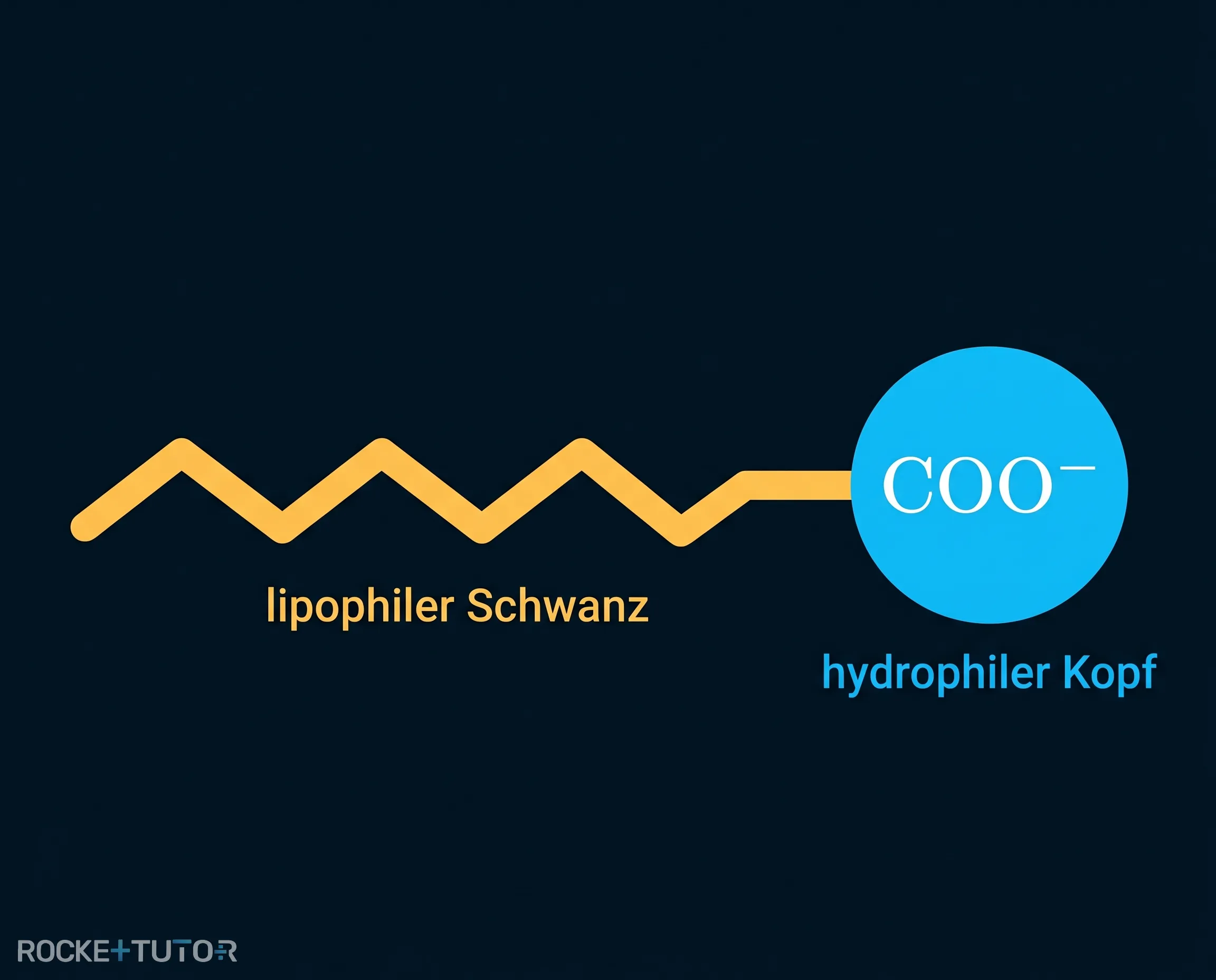 Streichholzmodell eines Seifenmoleküls