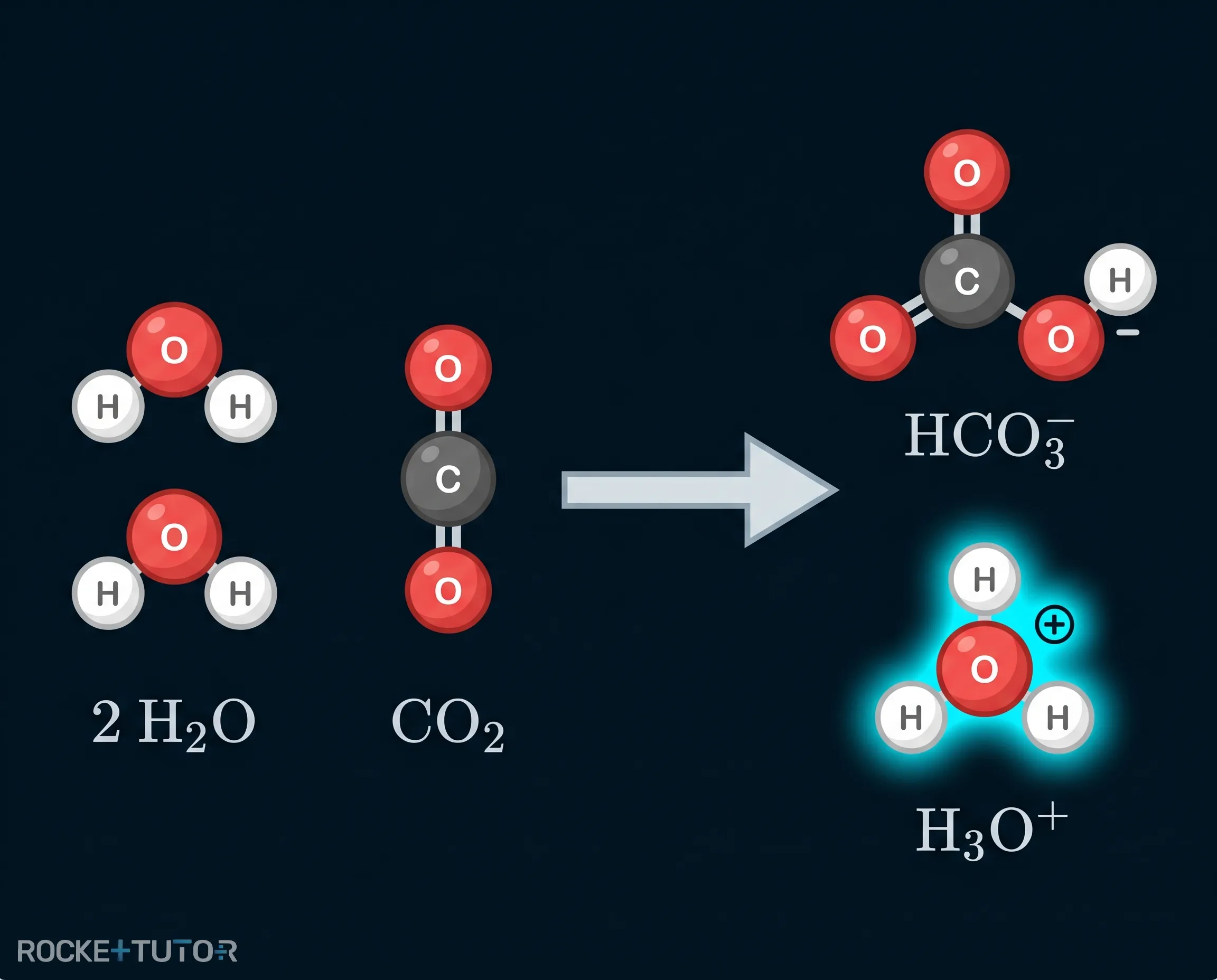 Chemische Reaktion von CO2 im Meerwasser