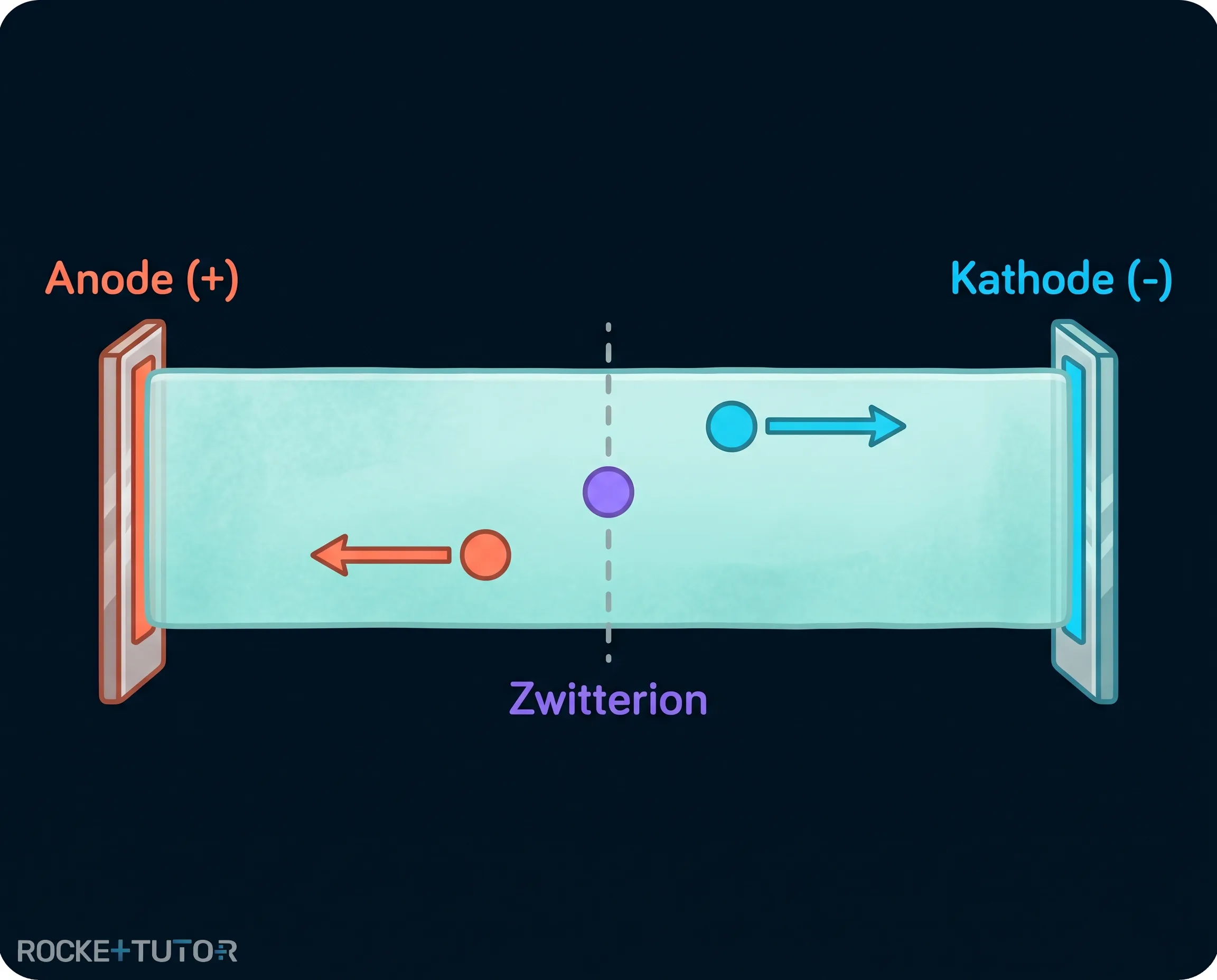 Trennung von Aminosäuren im elektrischen Feld