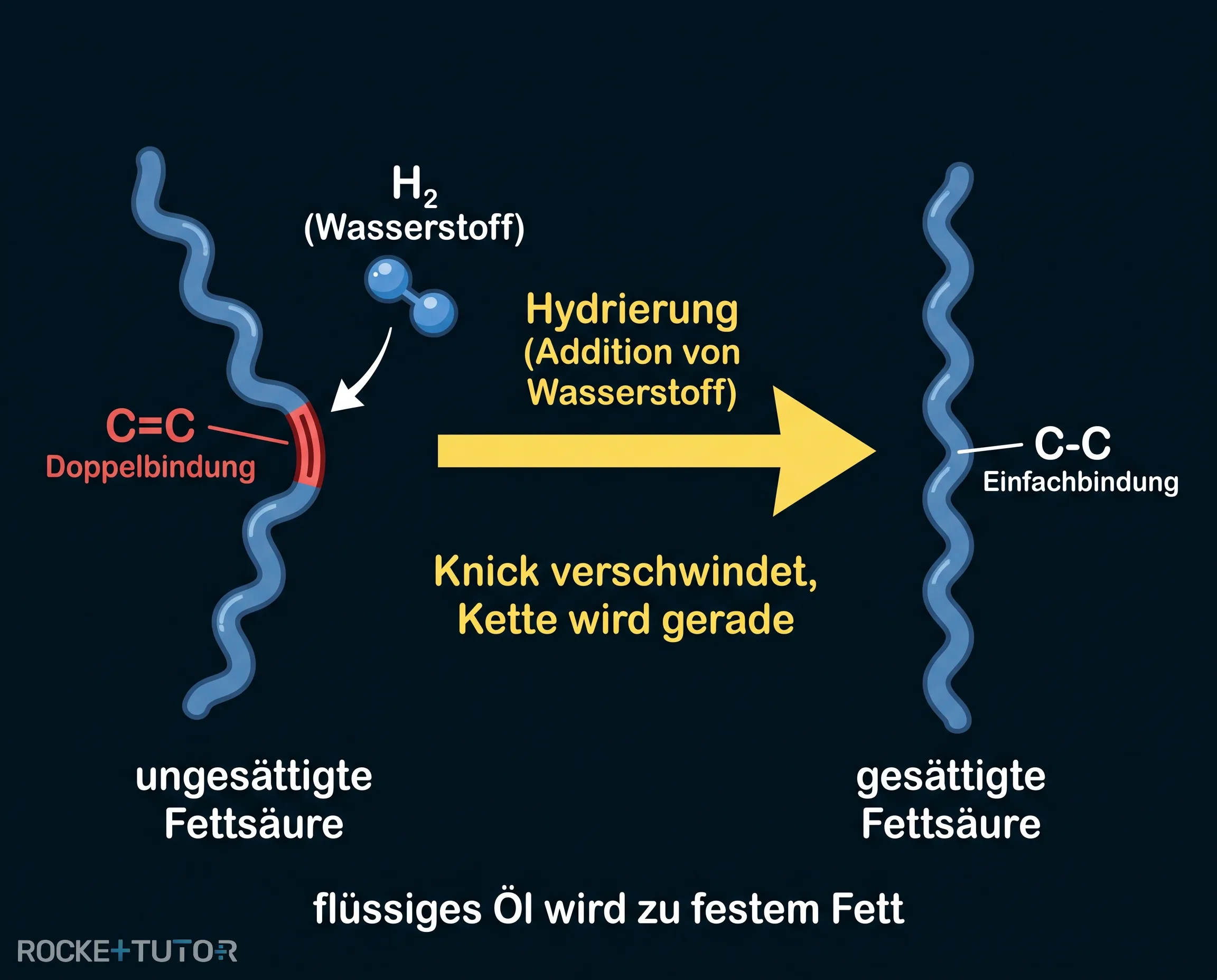 Hydrierung von ungesättigten Fettsäuren
