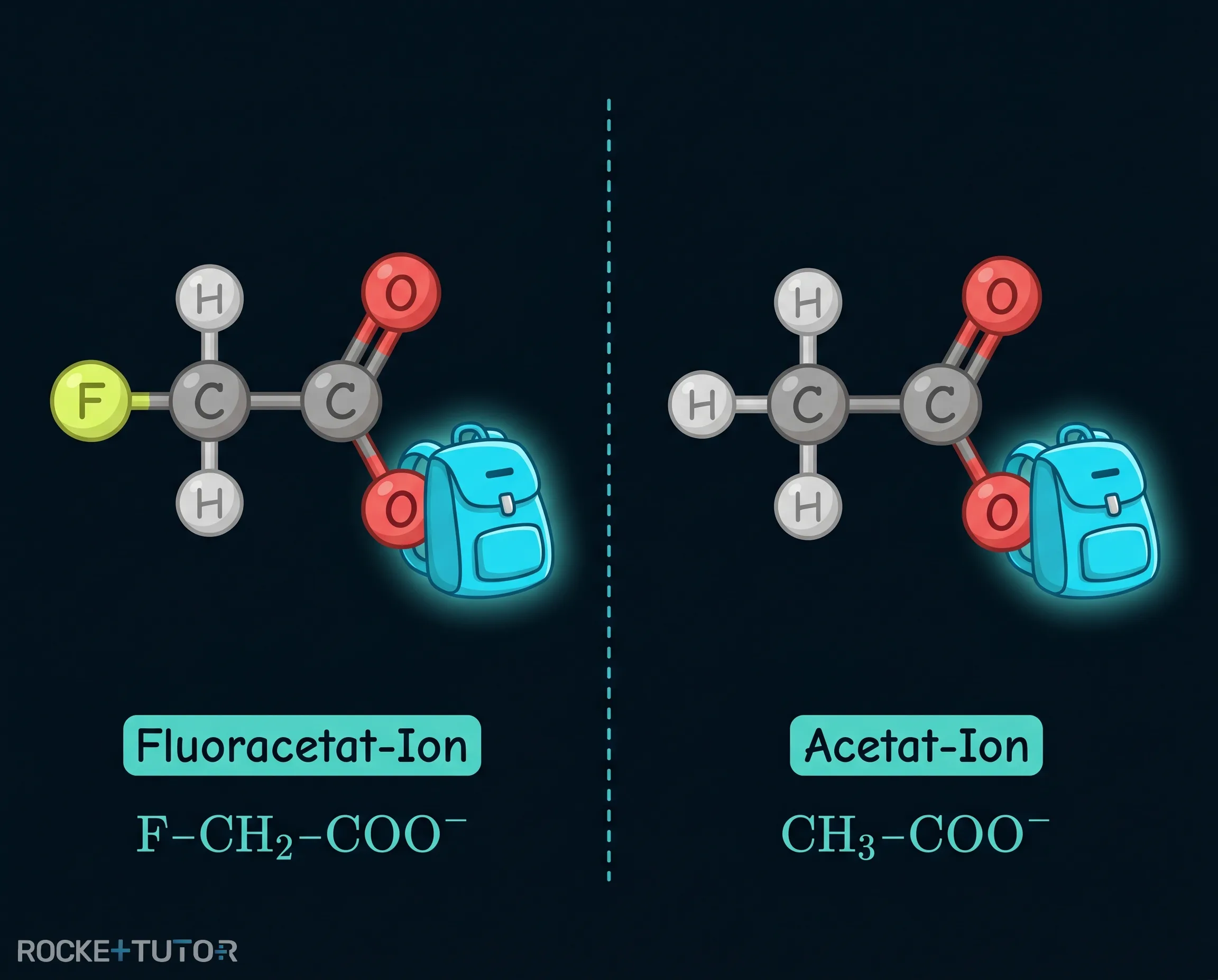Fluoracetat und Acetat Ionen